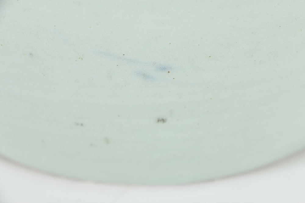 19th Century Blue and White Chinese Ginger Jar with Lions