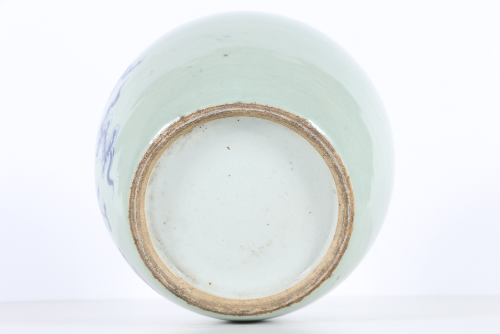 19th Century Blue and White Chinese Ginger Jar with Lions