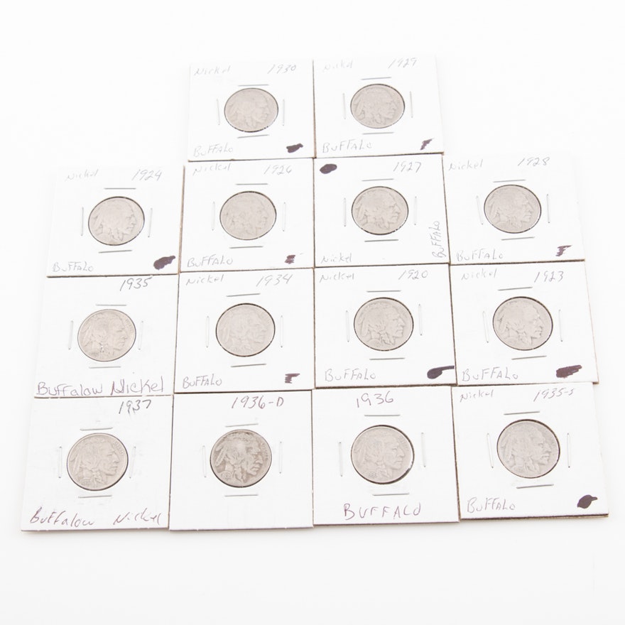 Fourteen Buffalo Nickels