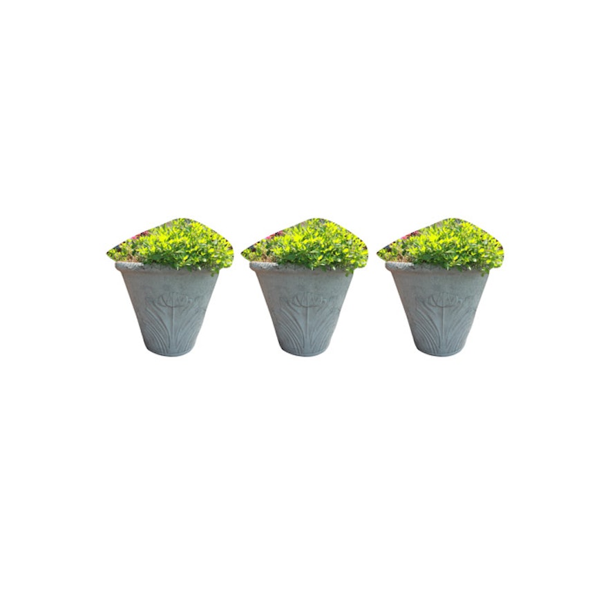 Neoclassical Style Outdoor Planters with Plants