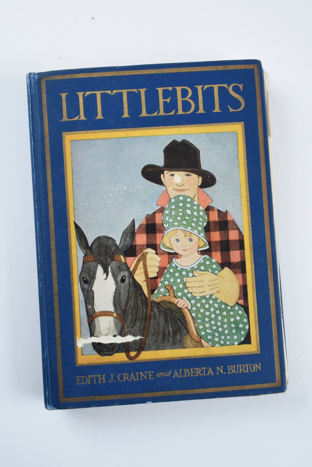 Assortment of Nine Hard Cover Children's Books