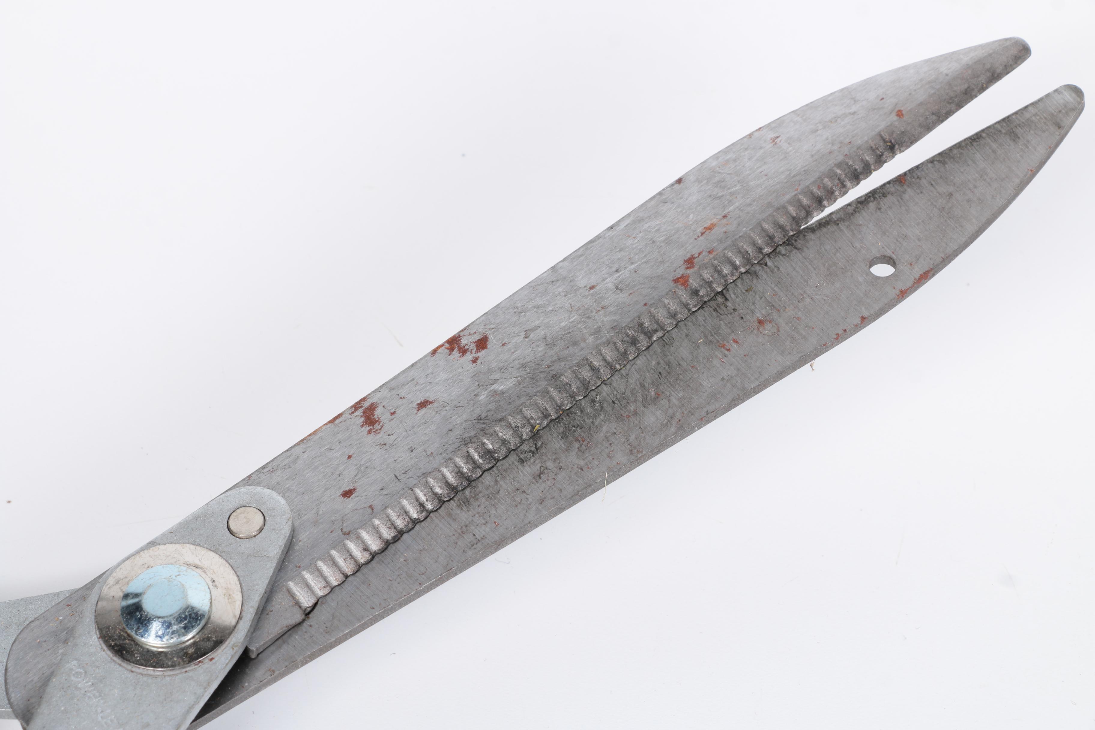 Assortment of Garden Tools