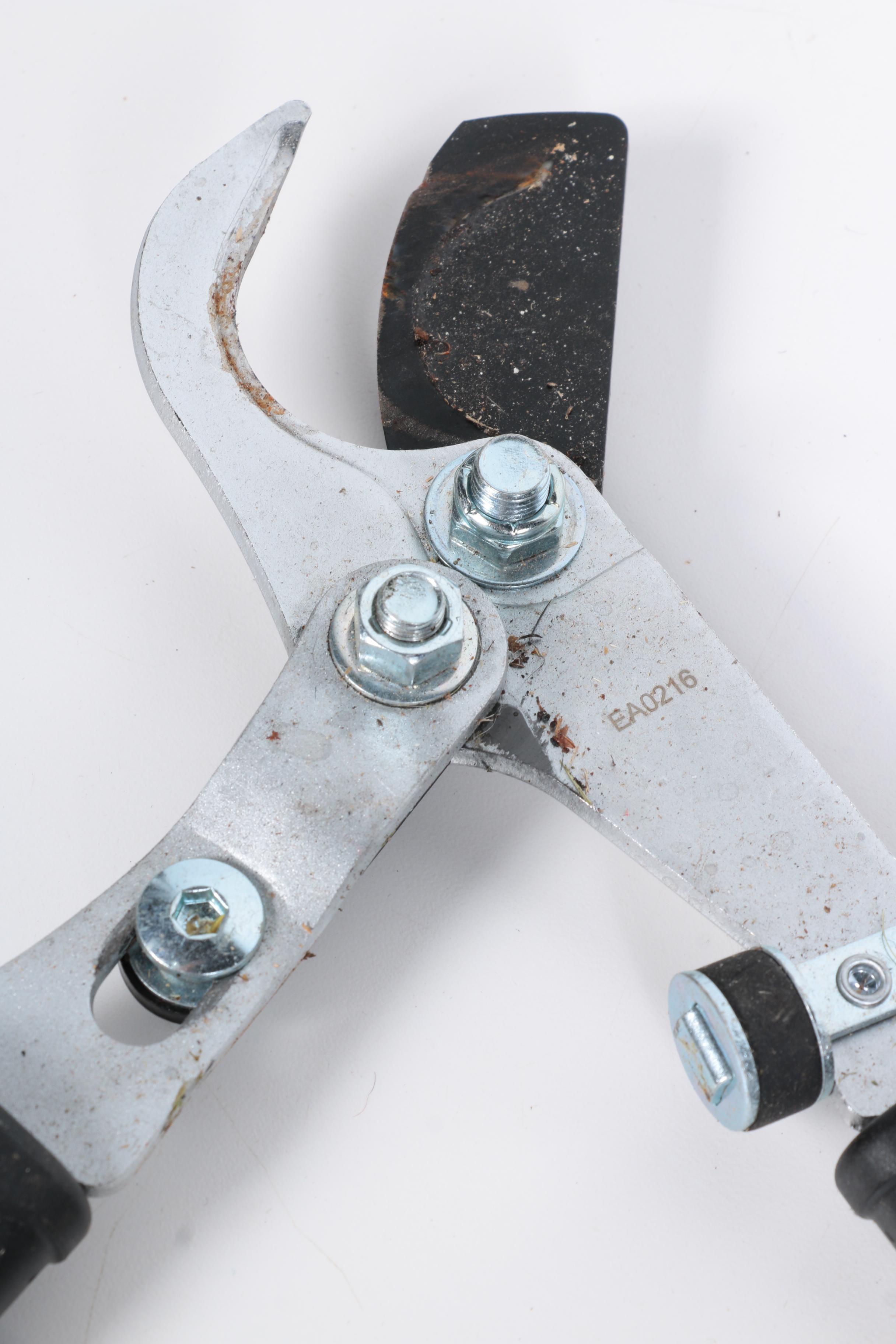 Assortment of Garden Tools