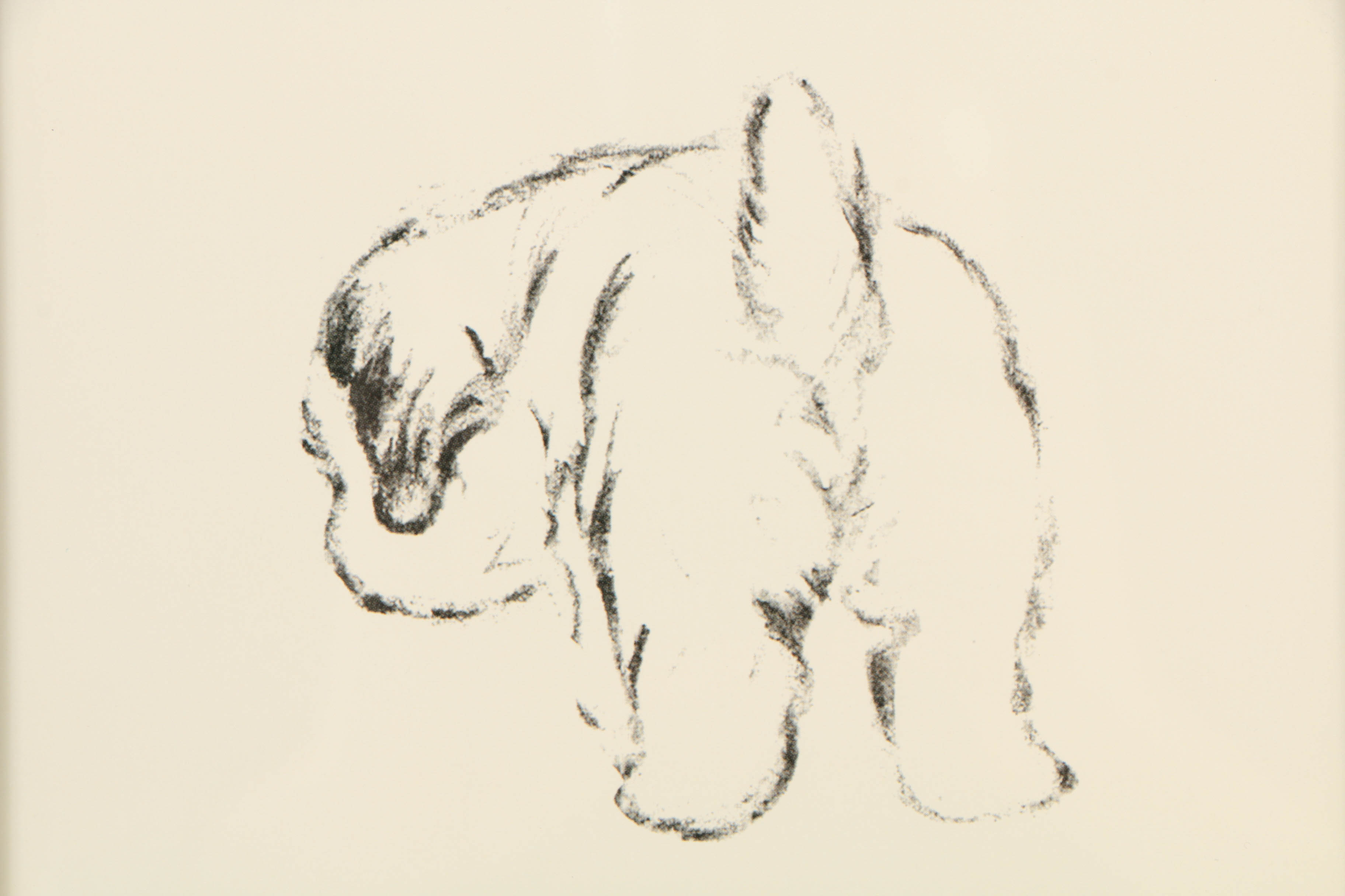 Offset Lithographs After Lucy Dawson's Drawings of Terrier Puppies