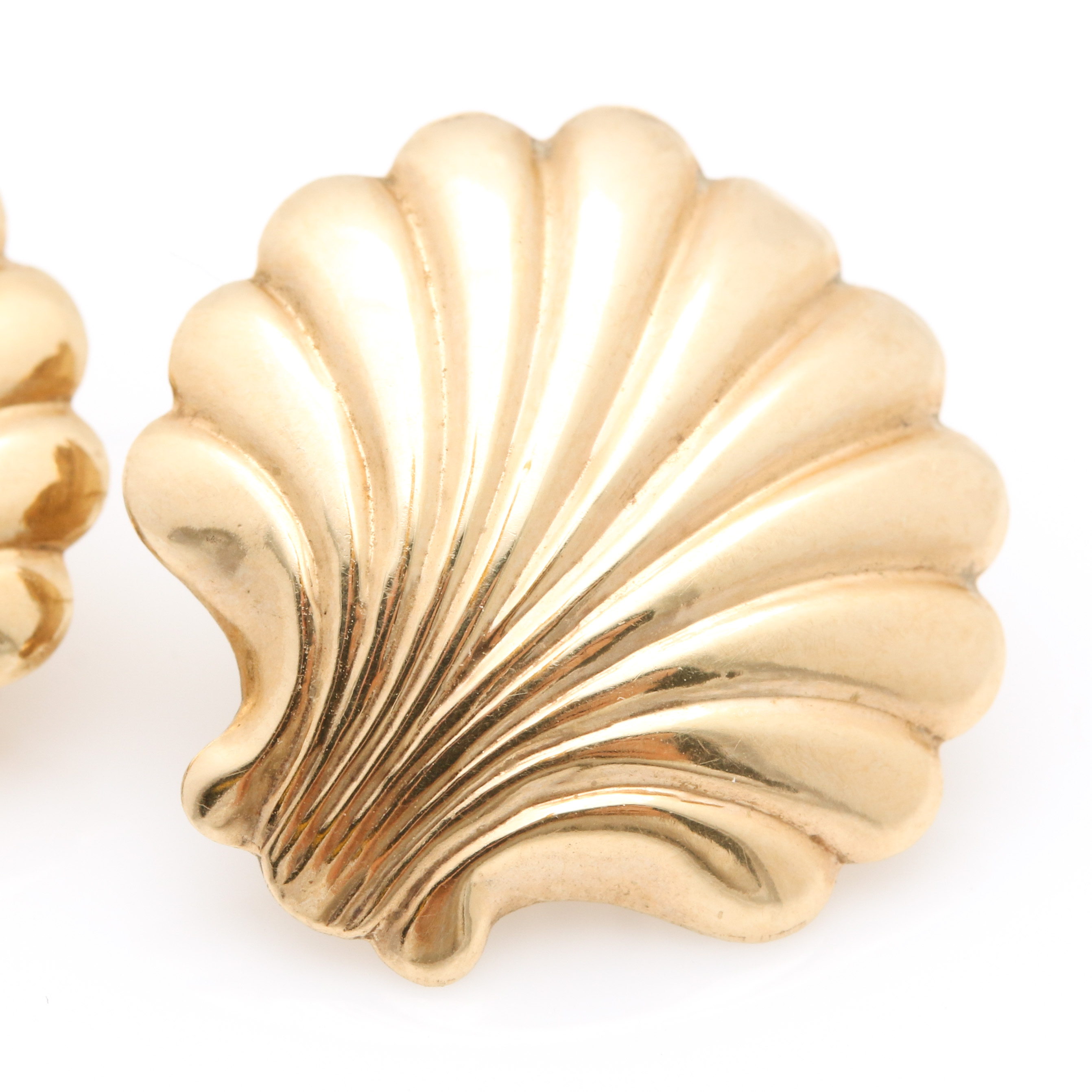 14K Yellow Gold Seashell Earrings