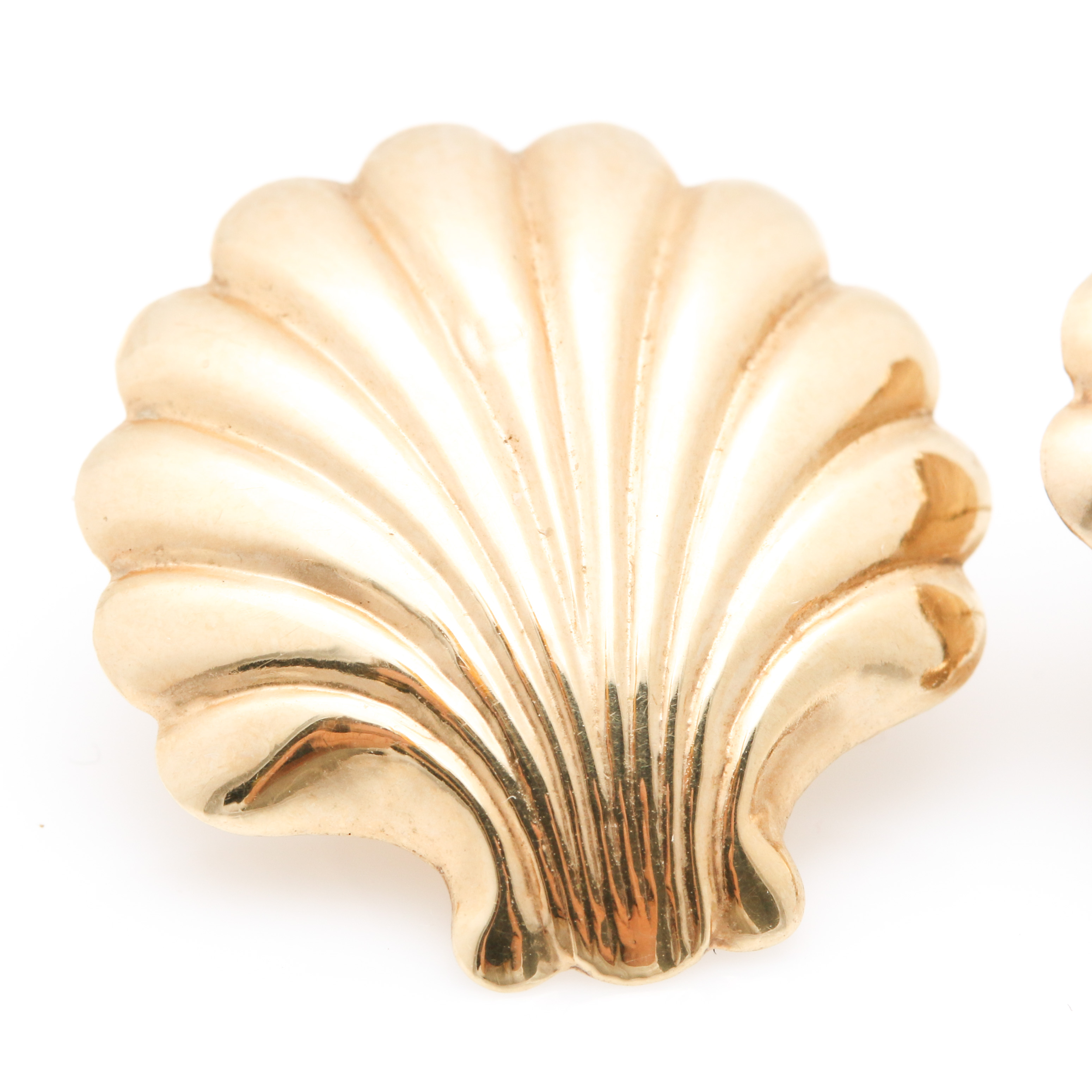 14K Yellow Gold Seashell Earrings