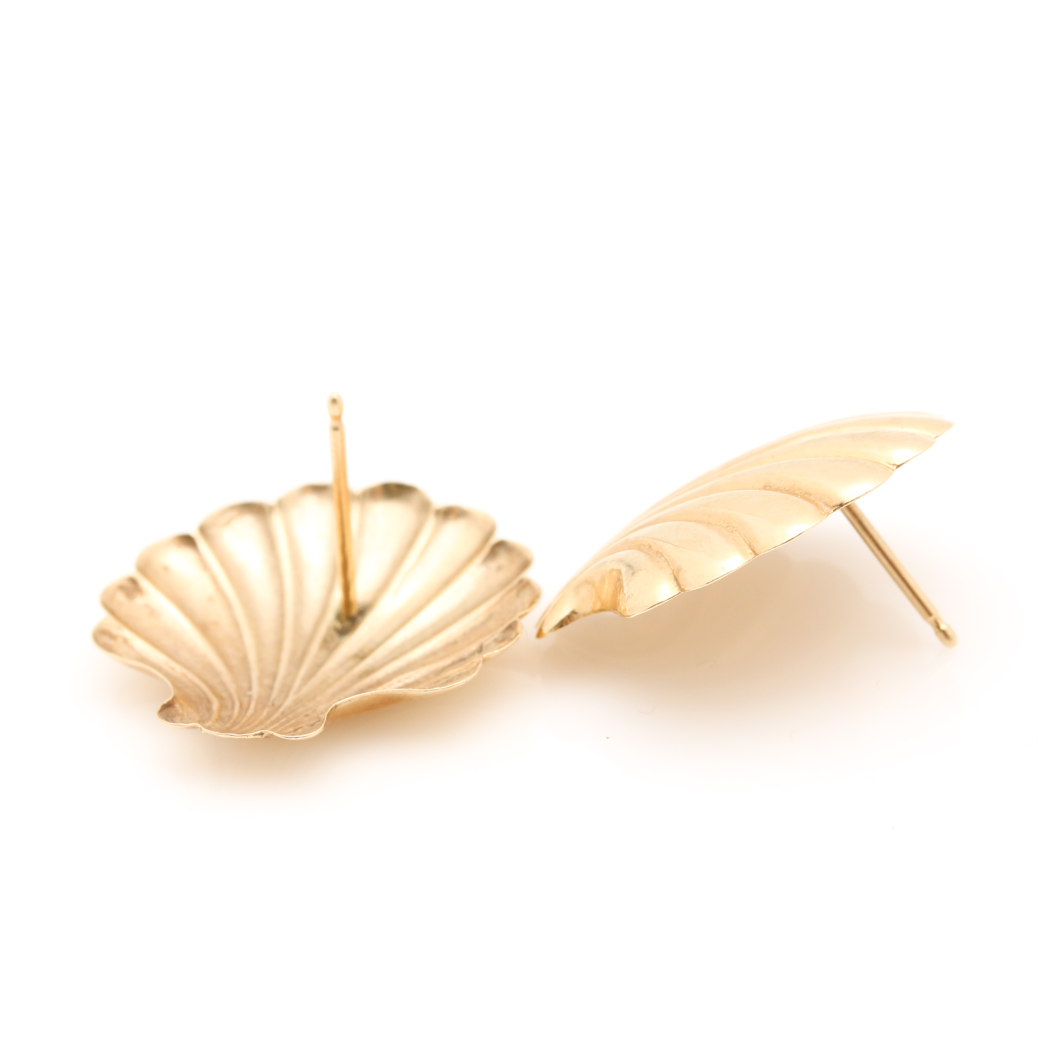 14K Yellow Gold Seashell Earrings