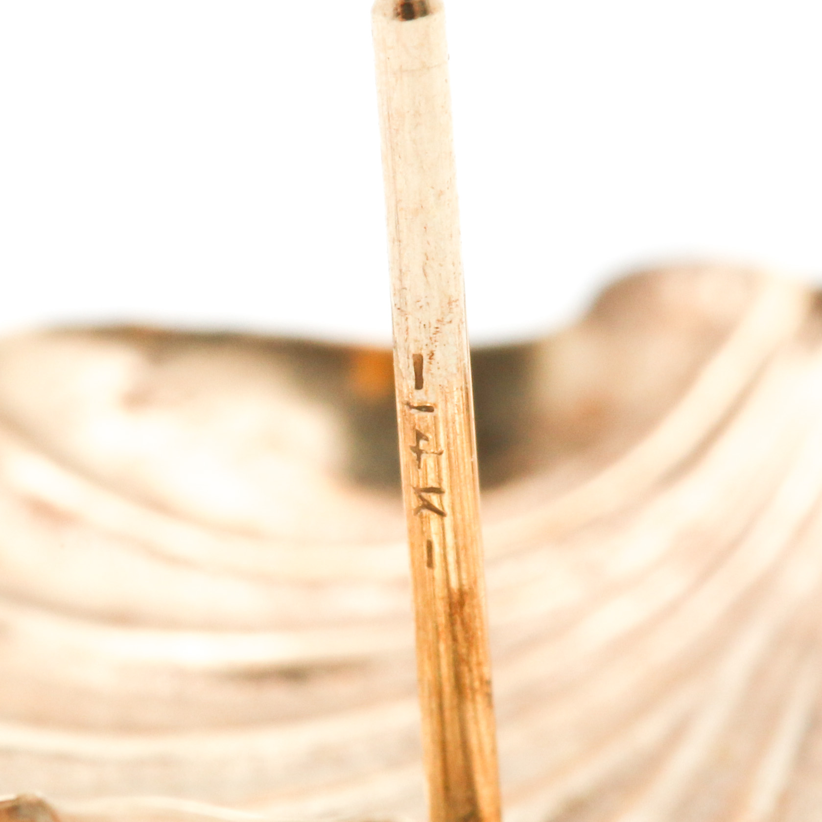 14K Yellow Gold Seashell Earrings