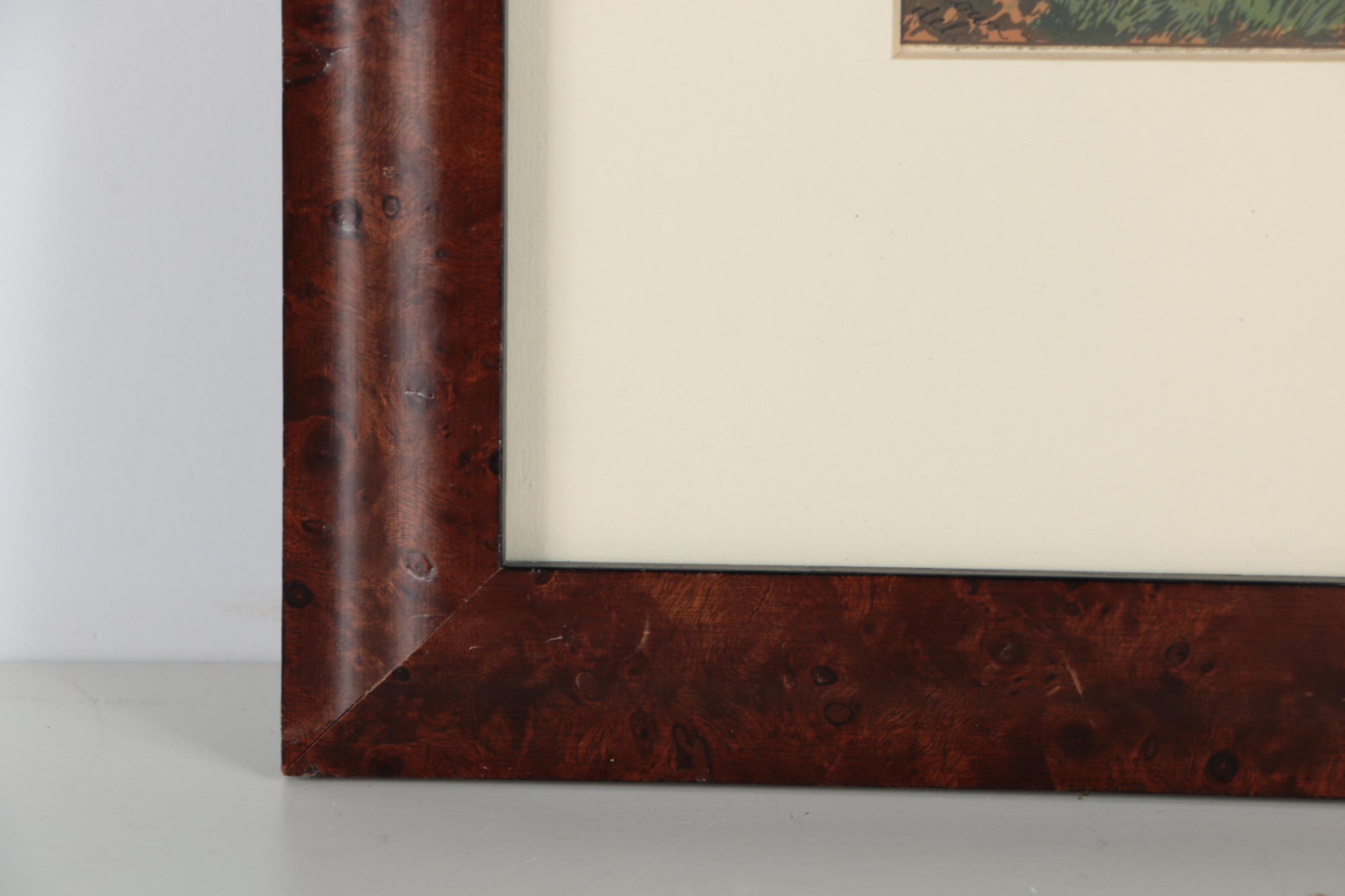 Chromolithographs After Joseph Ludlow for "Cassell's Pigeon Book"