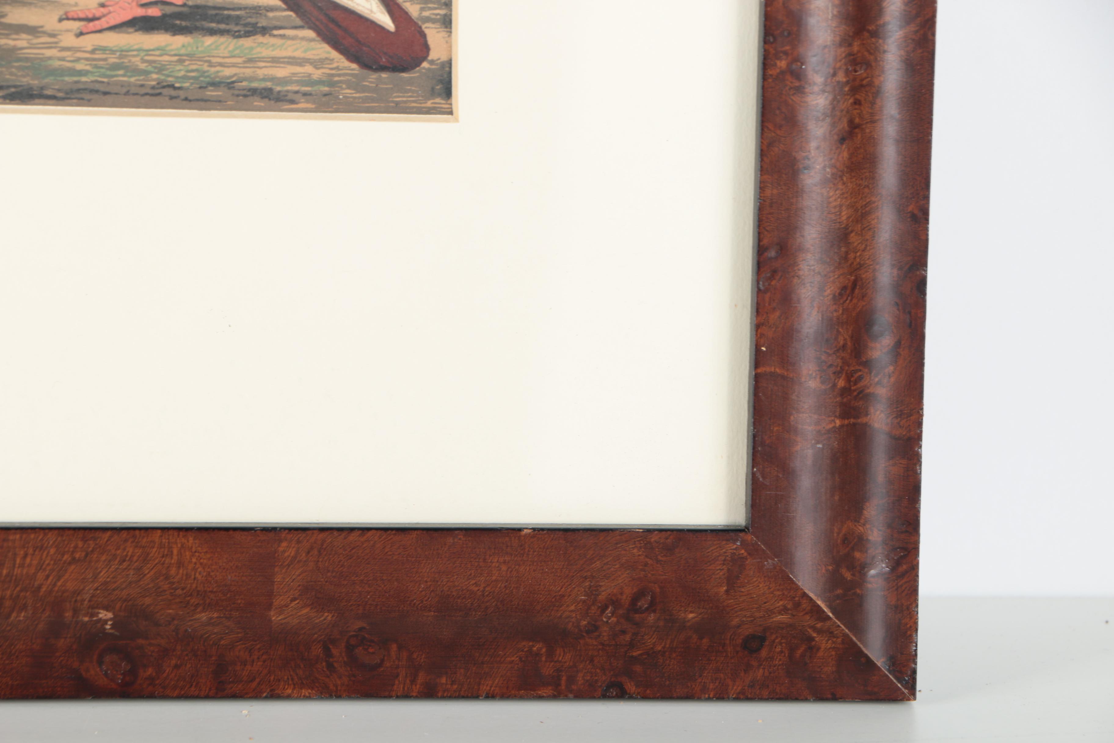 Chromolithographs After Joseph Ludlow for "Cassell's Pigeon Book"