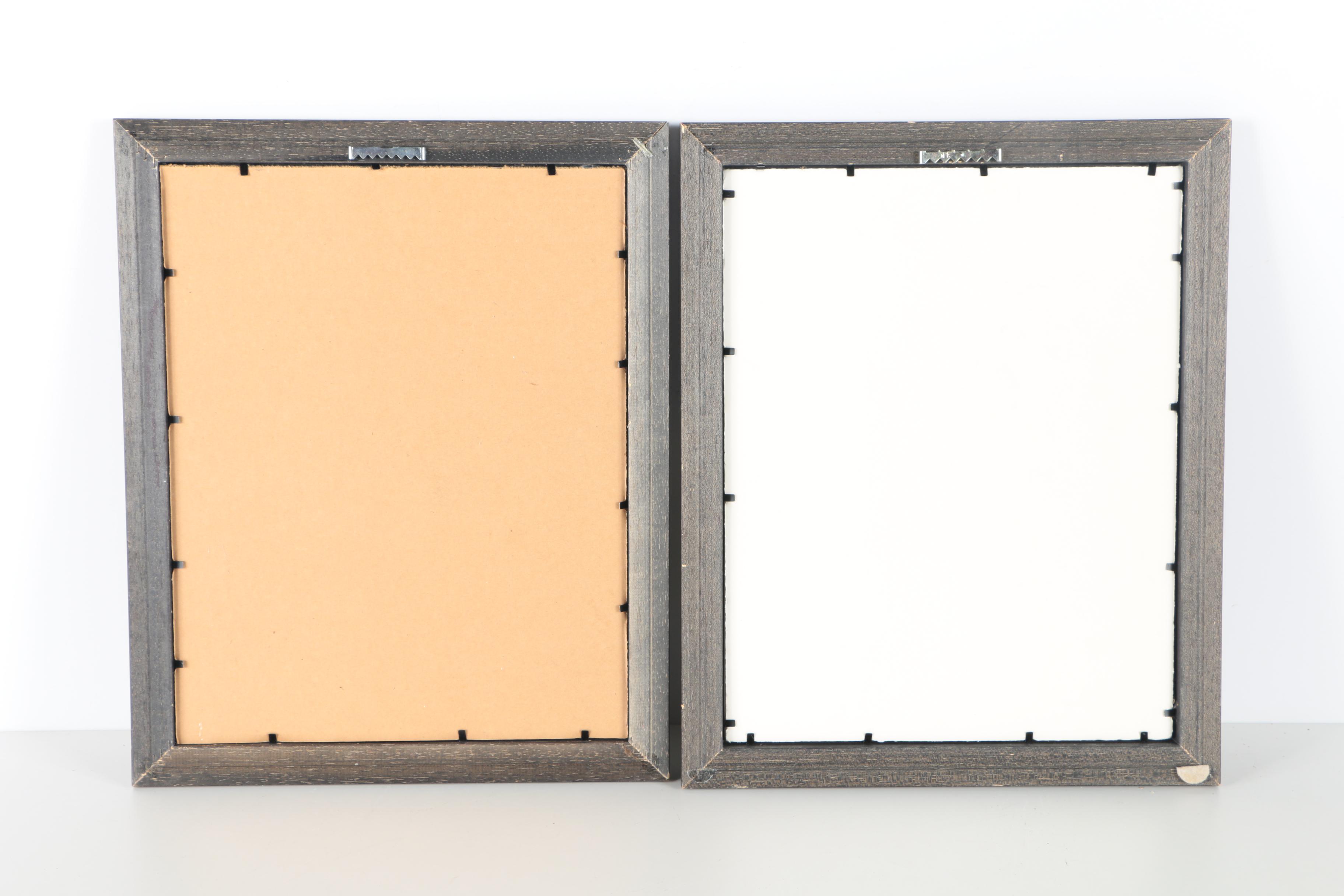 Chromolithographs After Joseph Ludlow for "Cassell's Pigeon Book"