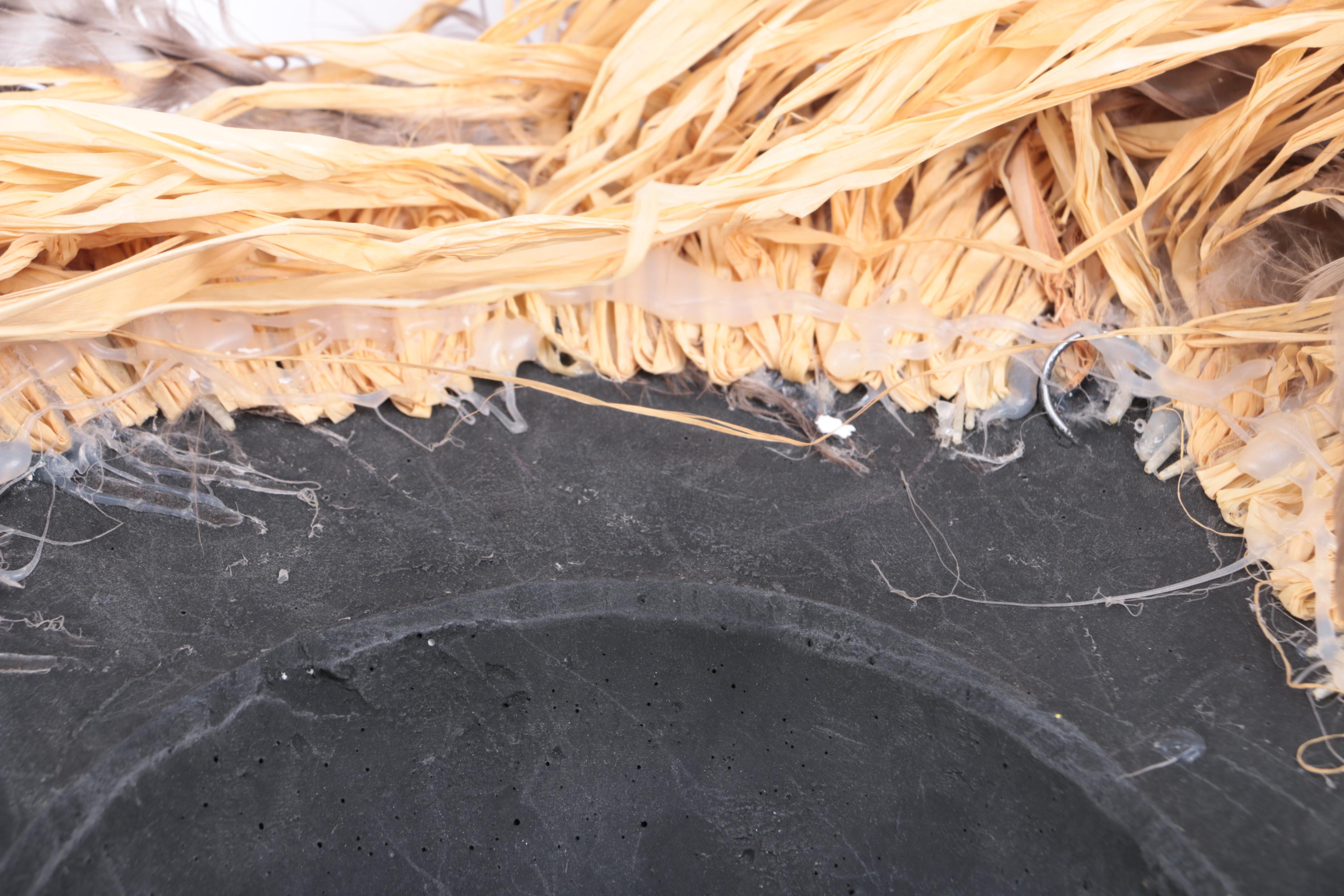 Polychrome Plaster Mask With Raffia and Feathers