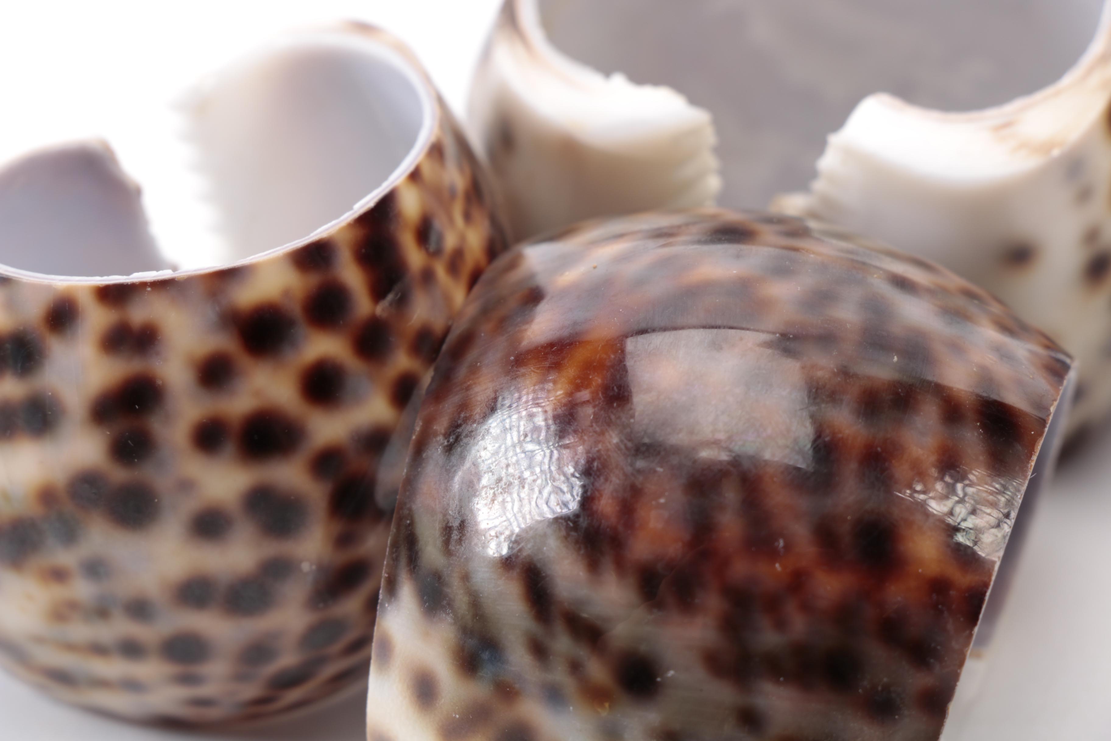Napkin Holders with Glass Stirrers and French Bowl