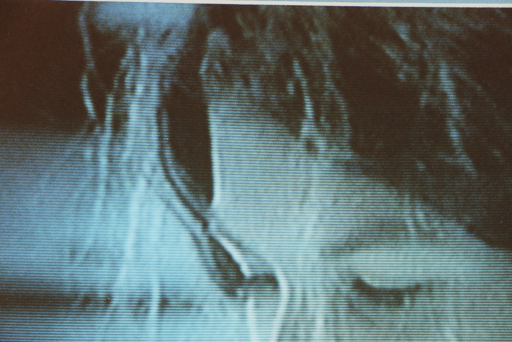 Digital Photograph Portrait of Young Woman