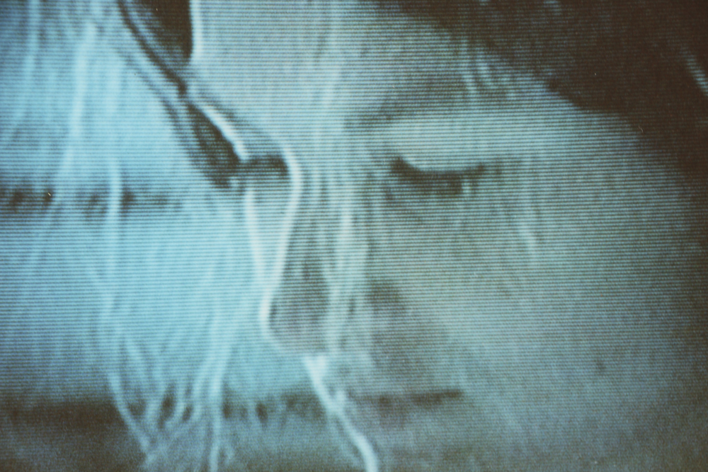 Digital Photograph Portrait of Young Woman