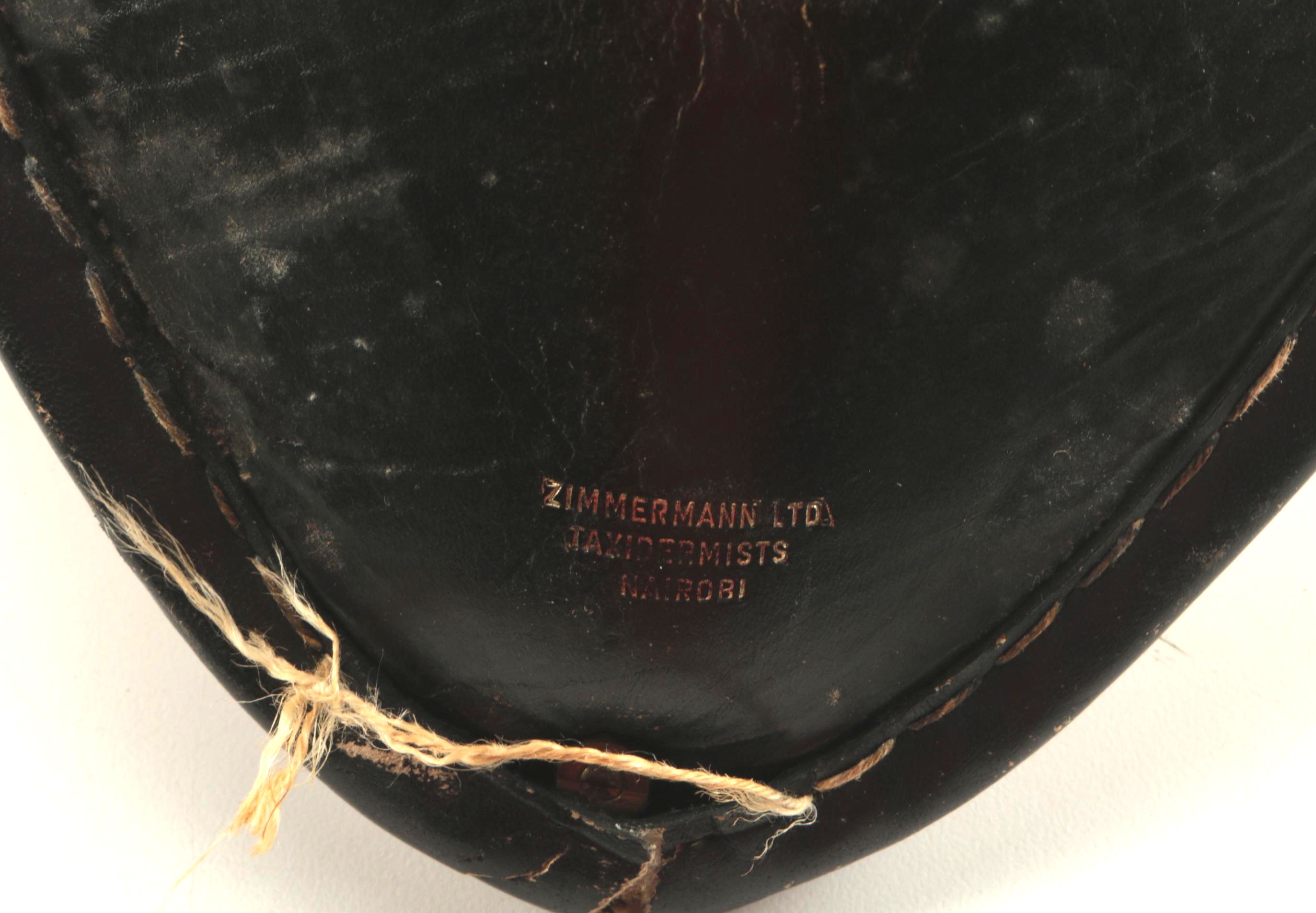 Vintage Greater Kudu Folding Camp Stools by Zimmermann Ltd.