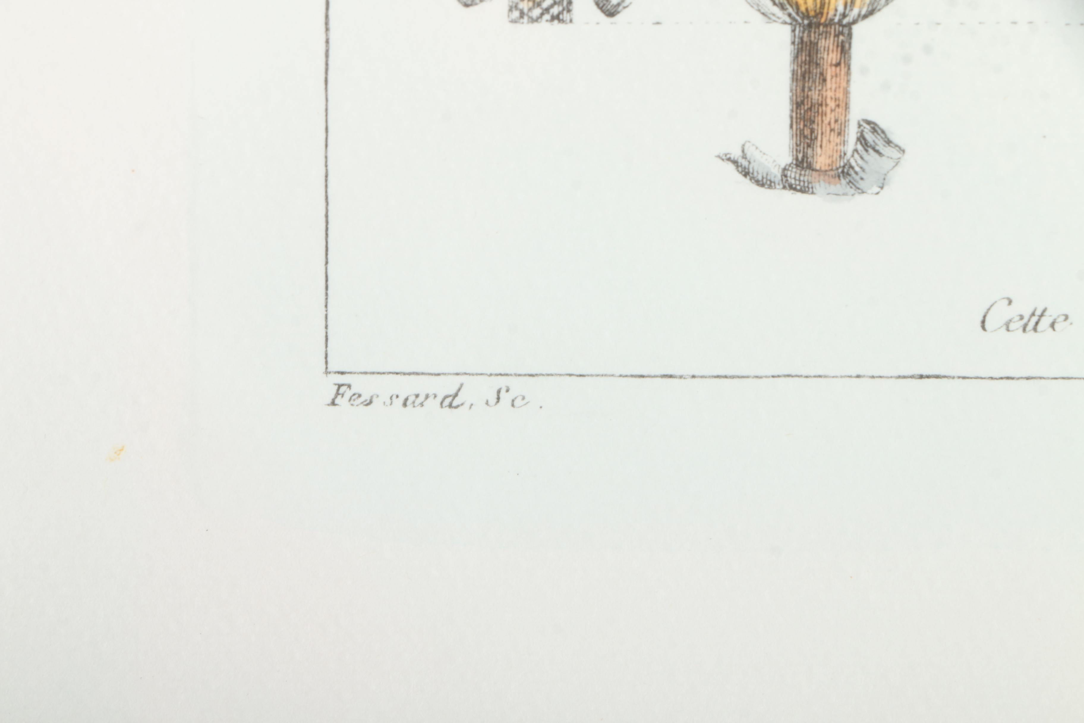 Botanical Hand Colored Lithographs by Fessard