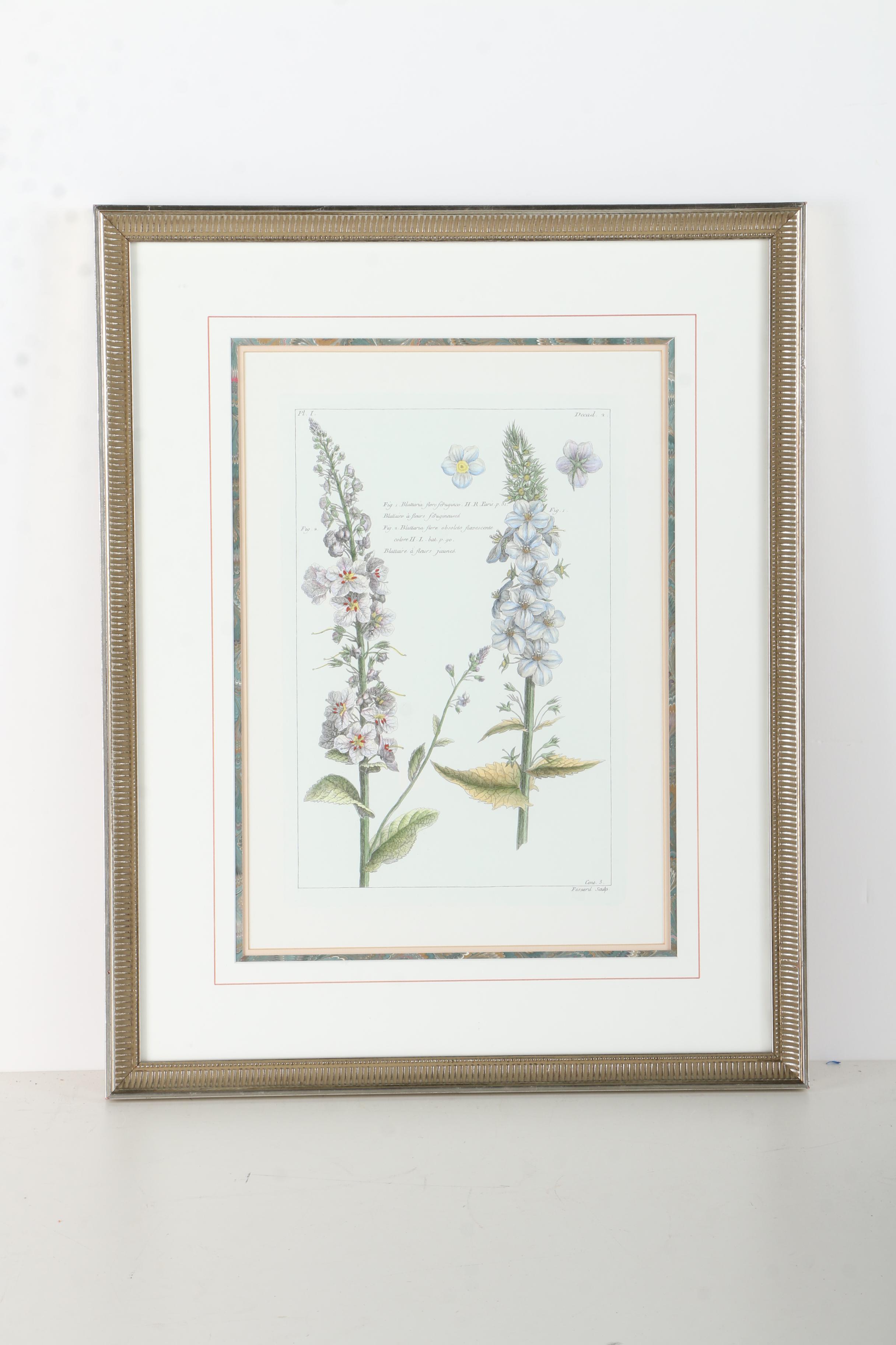 Botanical Hand Colored Lithographs by Fessard