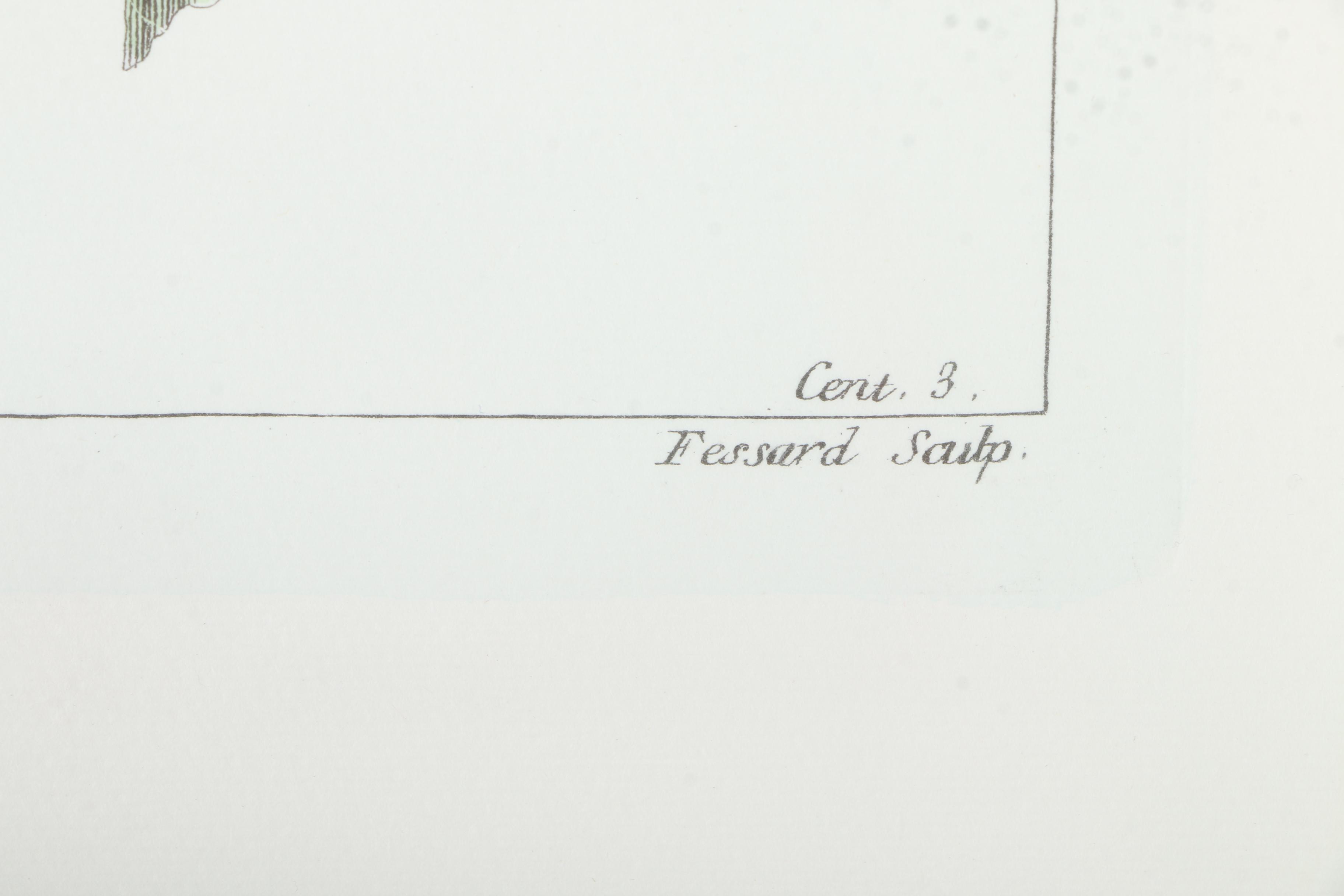 Botanical Hand Colored Lithographs by Fessard