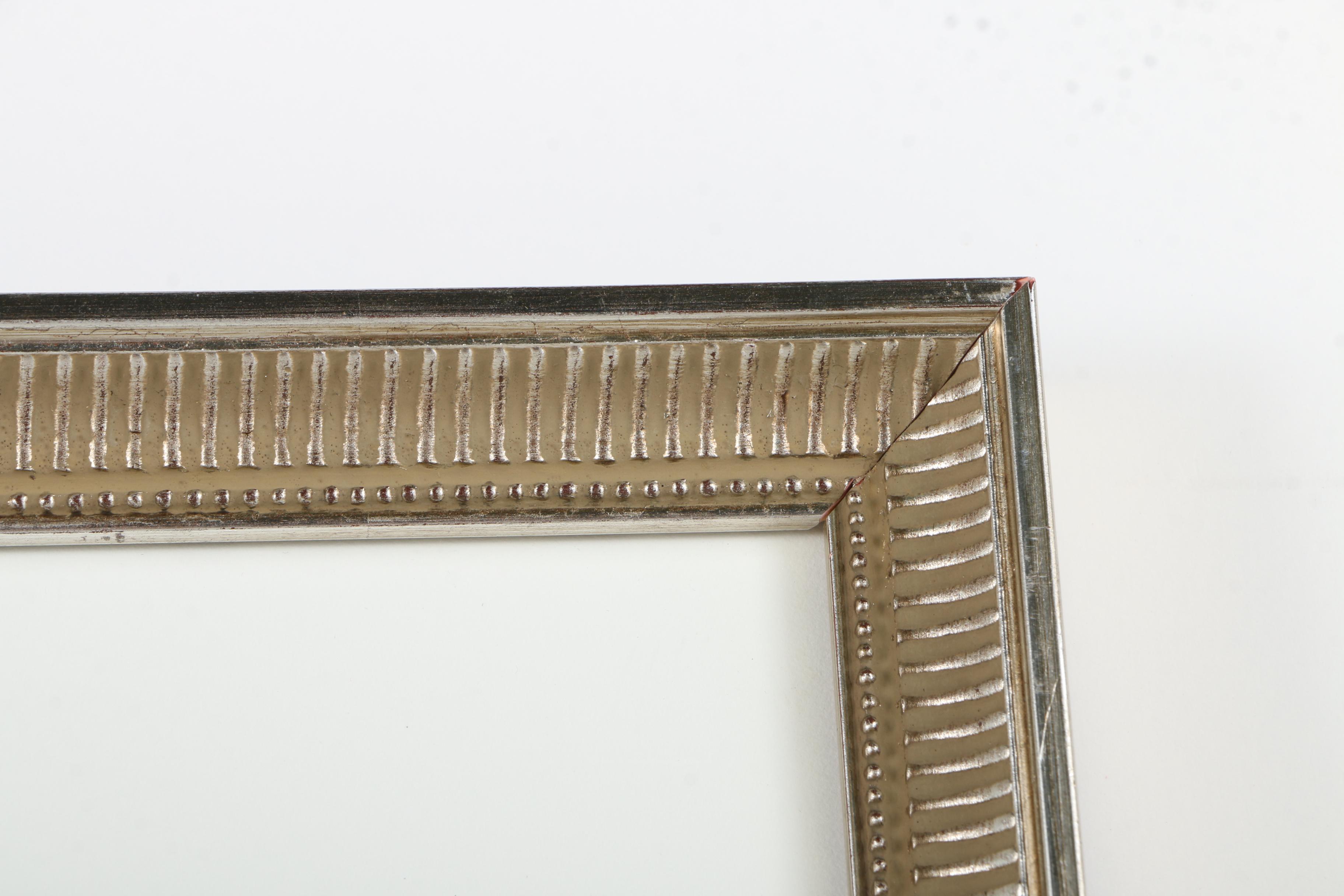 Botanical Hand Colored Lithographs by Fessard