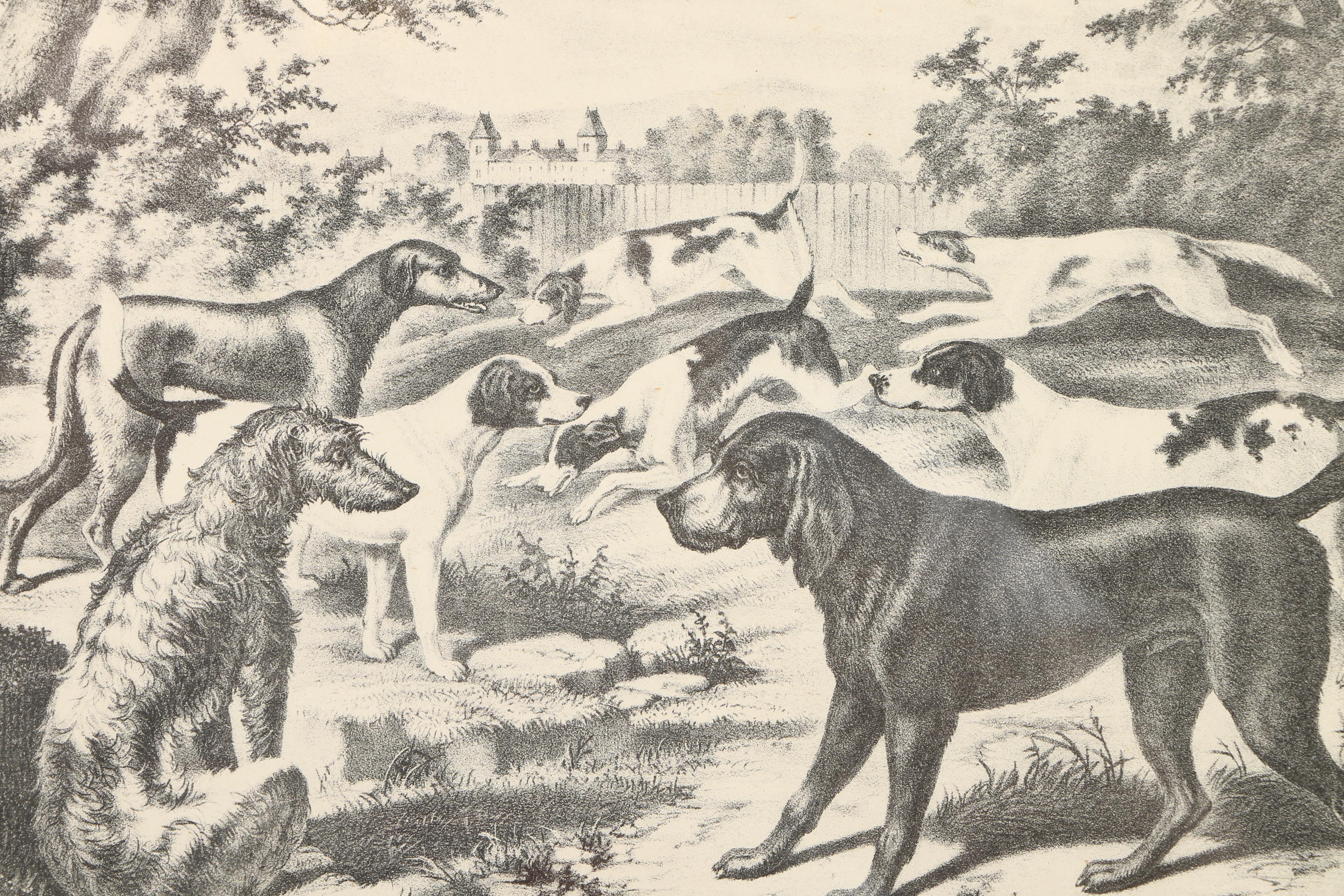Lithograph on Paper After "Group of Hounds"