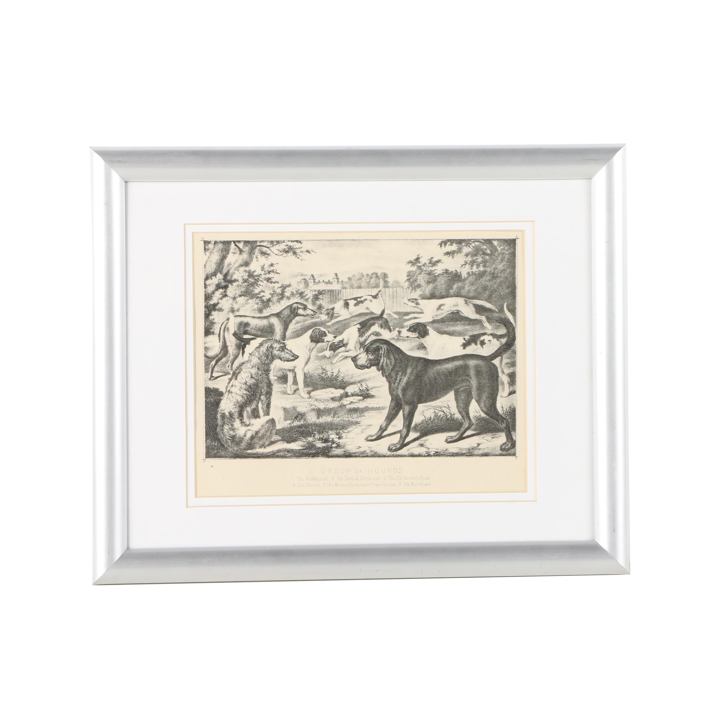 Lithograph on Paper After "Group of Hounds"
