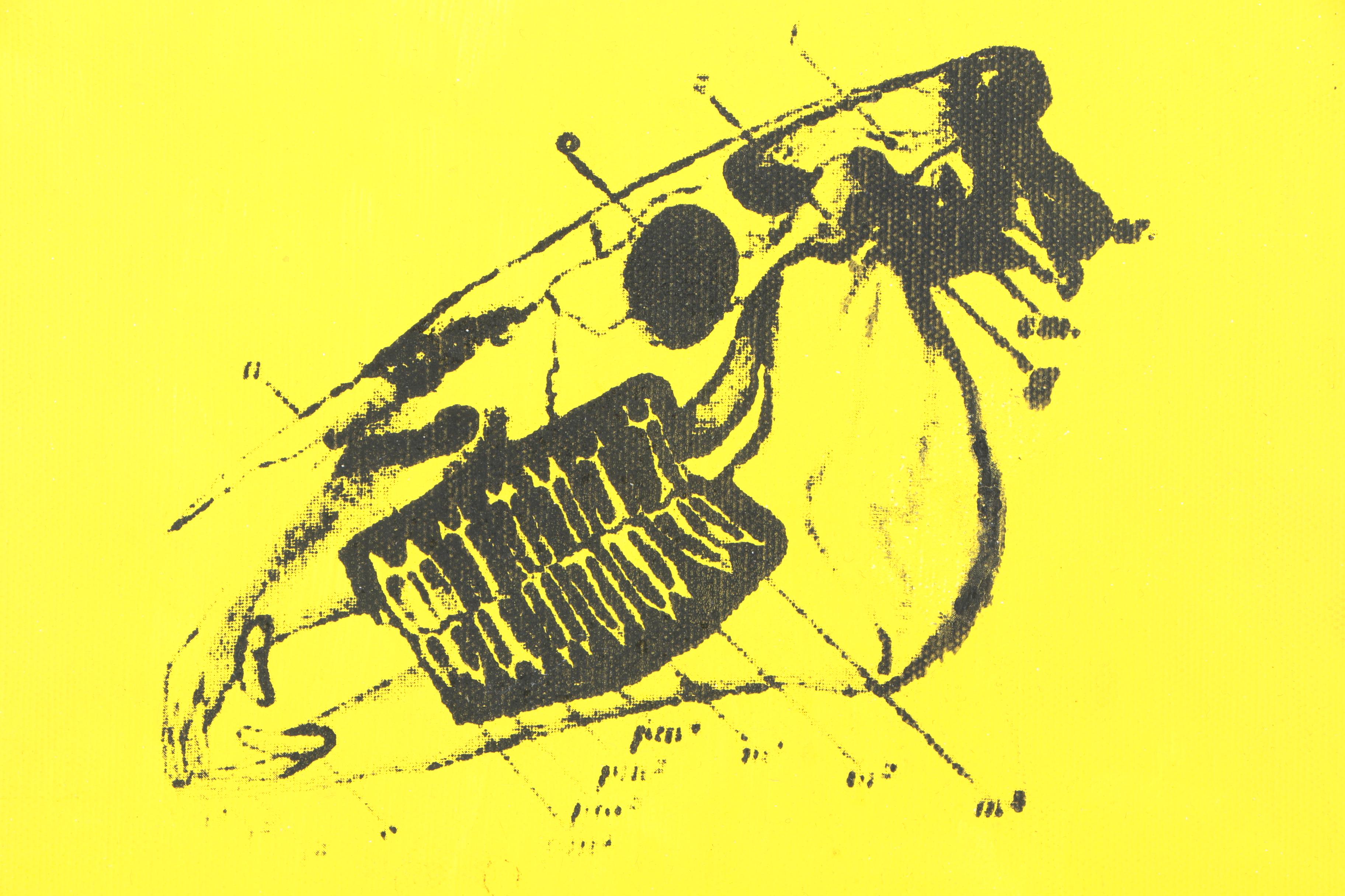 Serigraphs On Canvas Of An Animal Jaw Bone