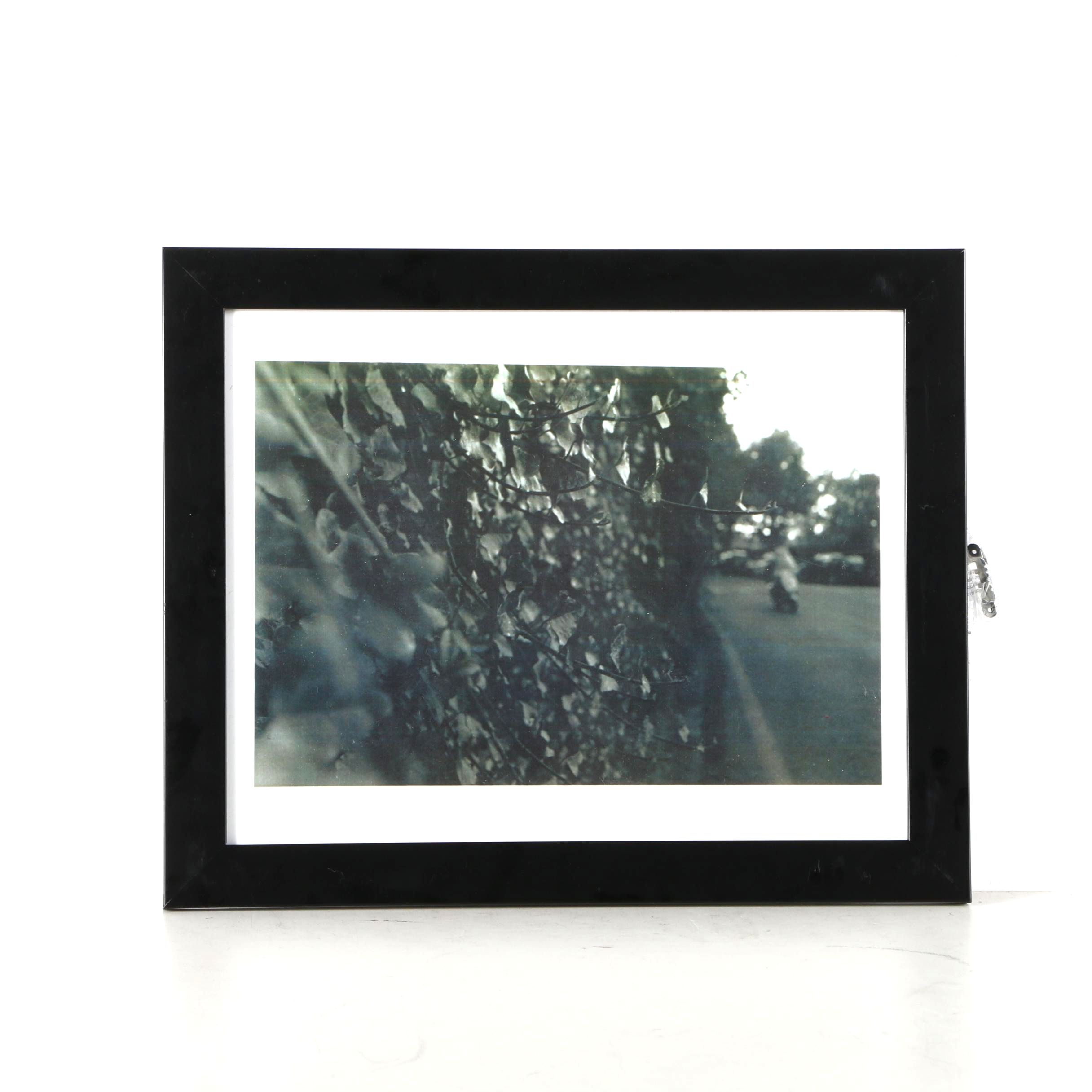Emma Chin Digital Print of a Black and White Photograph "Ivy at Piazzale Michelangelo"