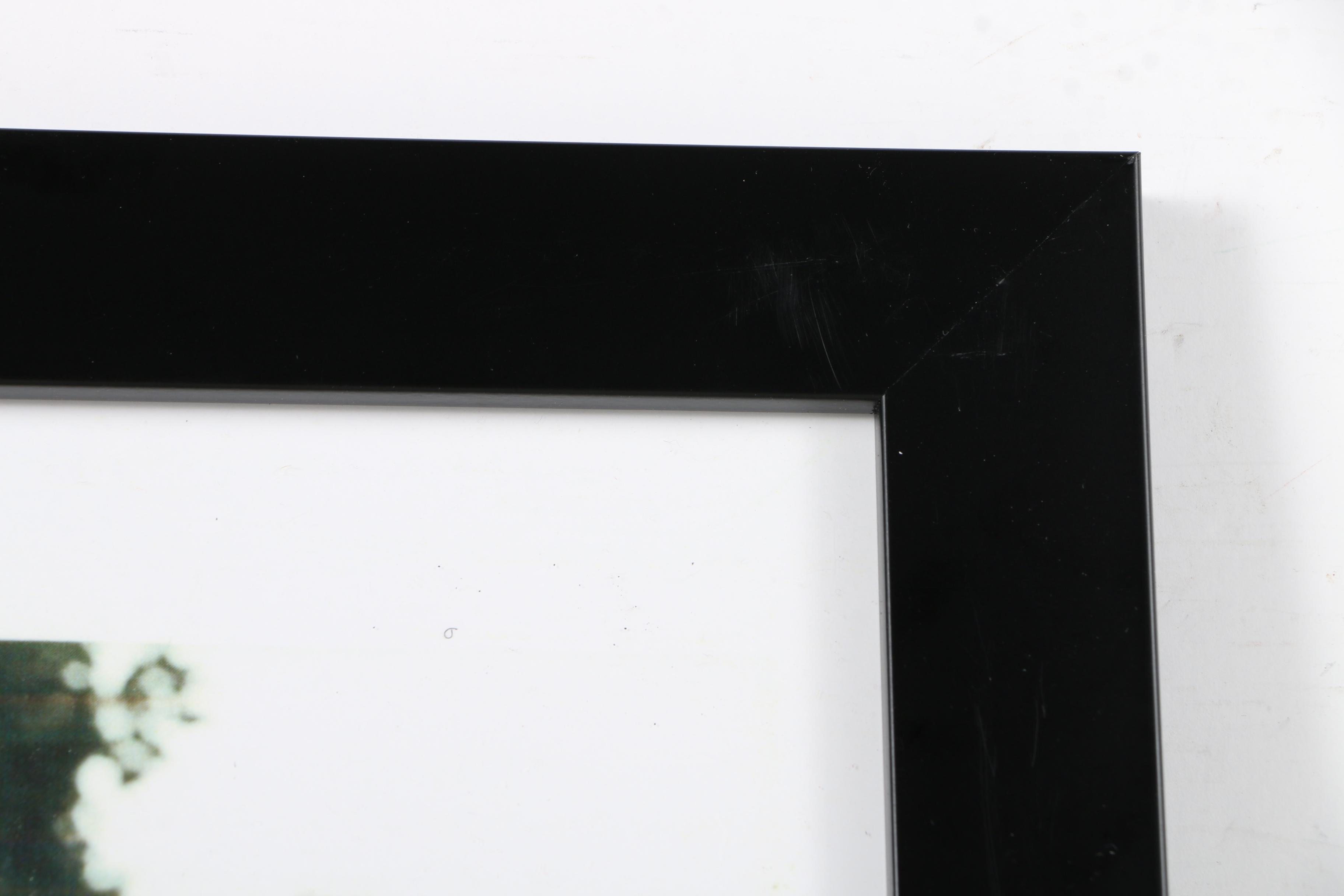 Emma Chin Digital Print of a Black and White Photograph "Ivy at Piazzale Michelangelo"