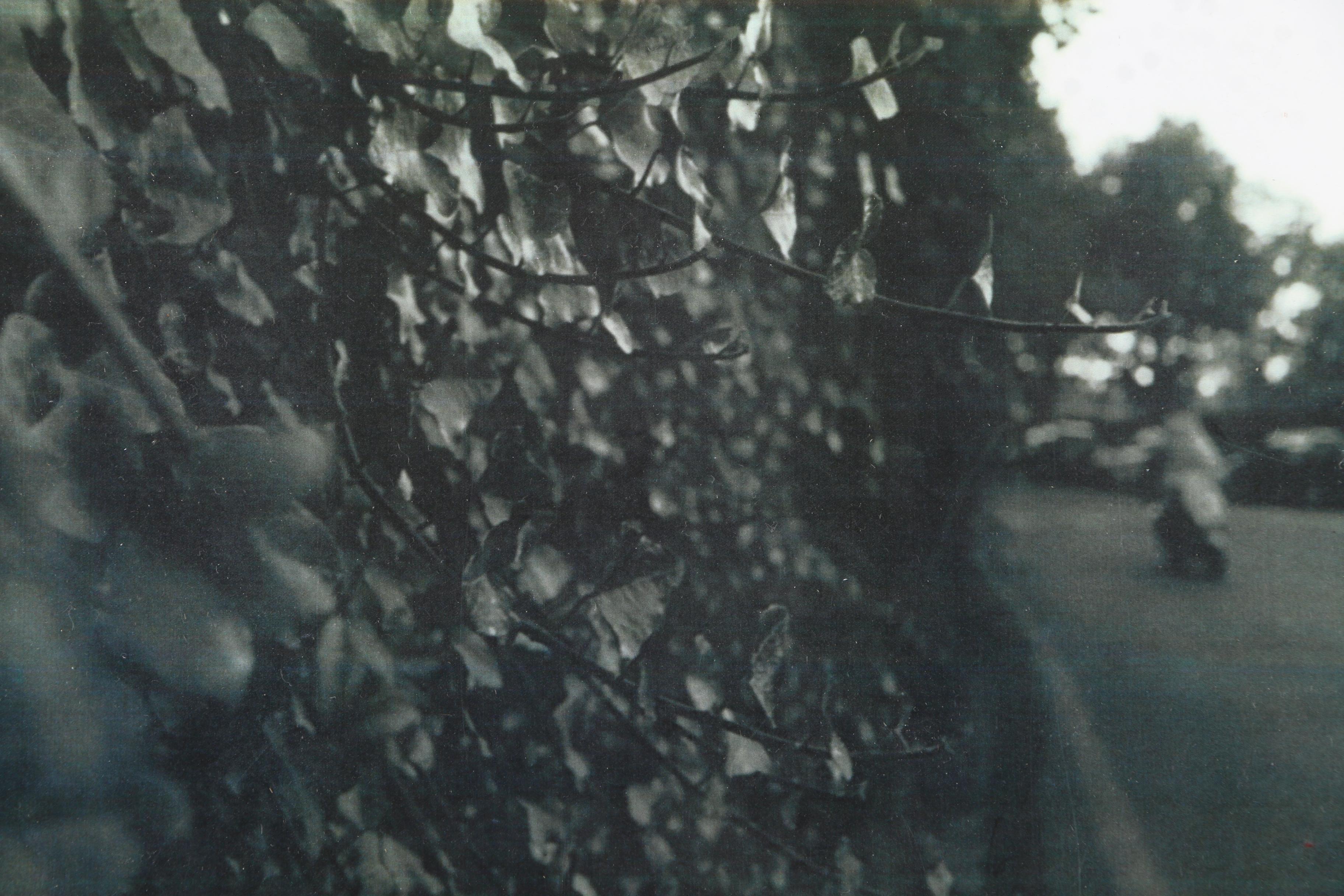 Emma Chin Digital Print of a Black and White Photograph "Ivy at Piazzale Michelangelo"