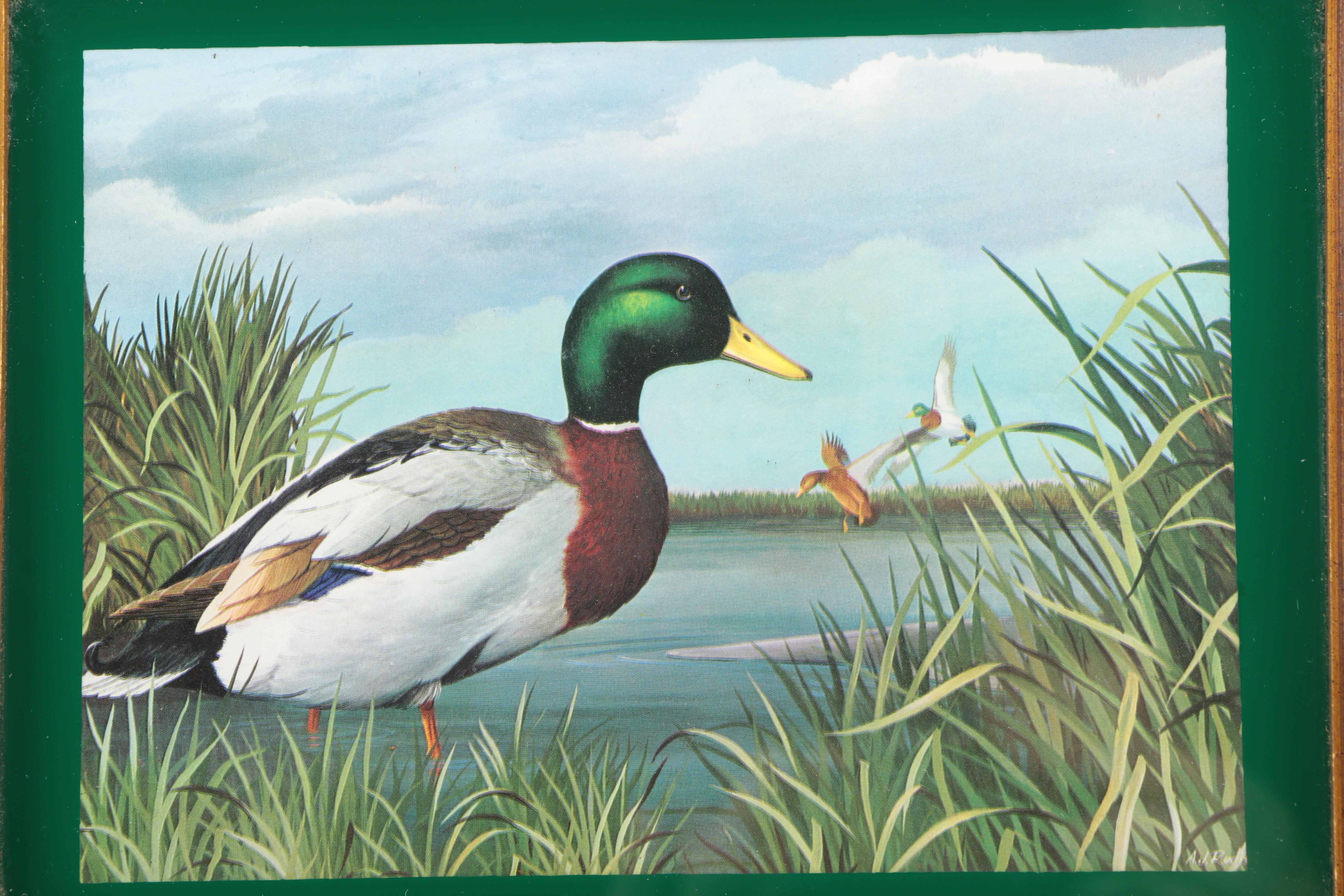Wall Mirror With Mallard Duck Print