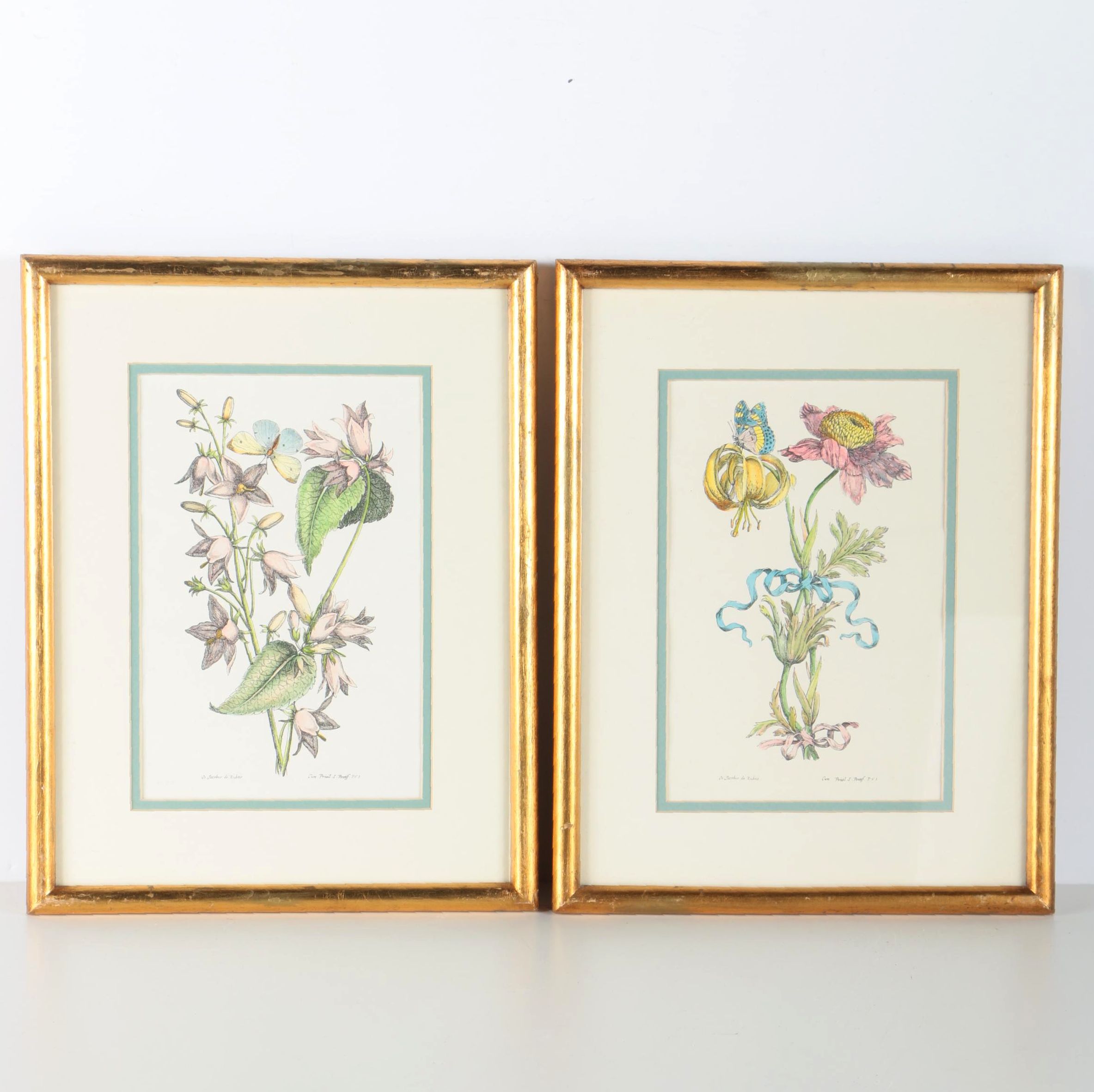 Two Hand-colored Lithographs After Jacobus de Rubeis of Flowers and Butterflies