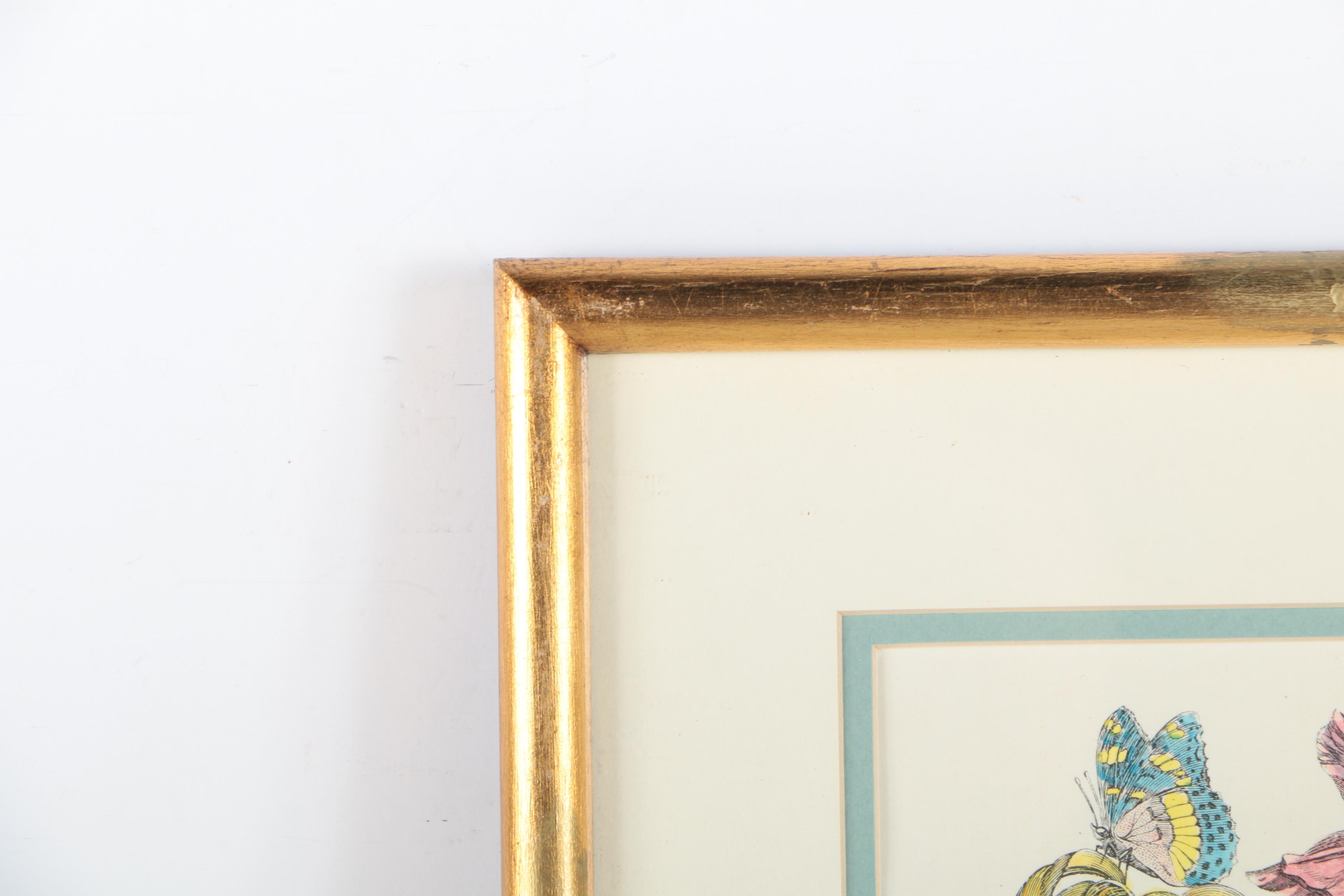 Two Hand-colored Lithographs After Jacobus de Rubeis of Flowers and Butterflies