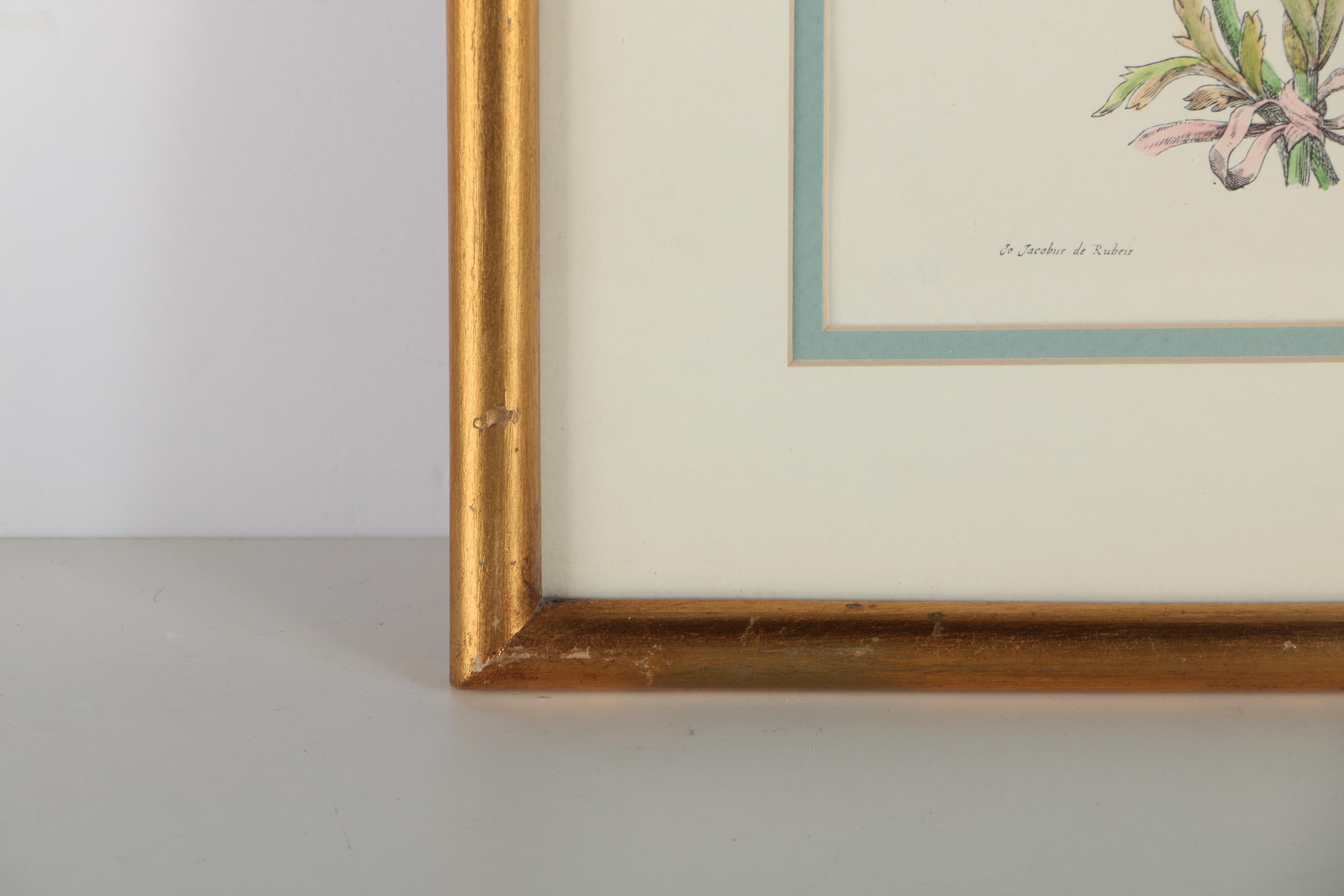 Two Hand-colored Lithographs After Jacobus de Rubeis of Flowers and Butterflies