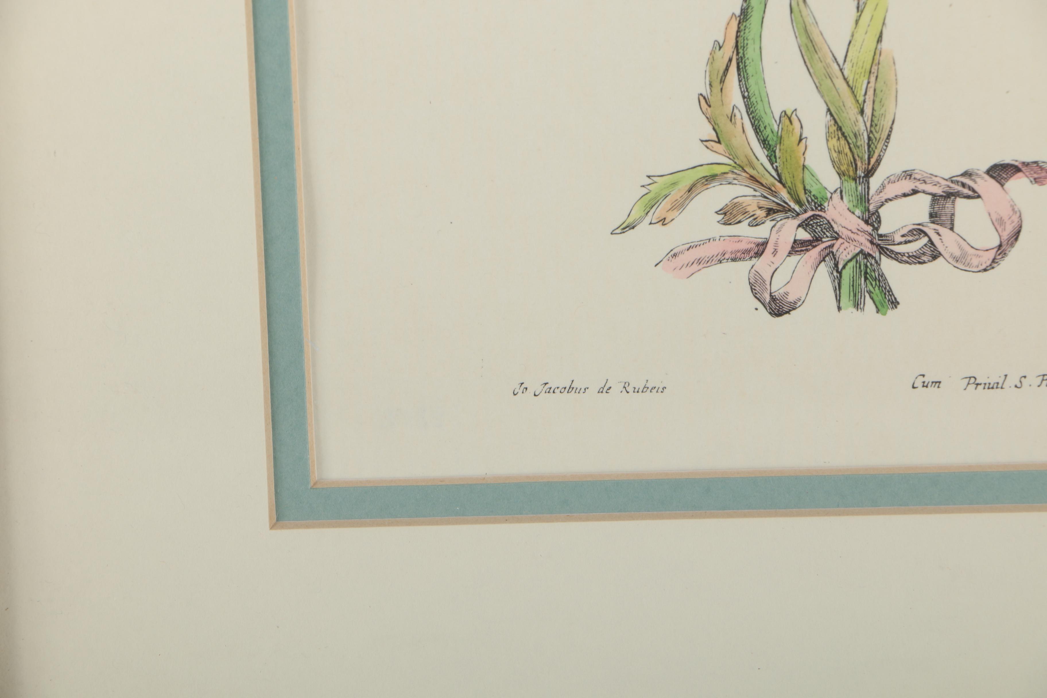 Two Hand-colored Lithographs After Jacobus de Rubeis of Flowers and Butterflies