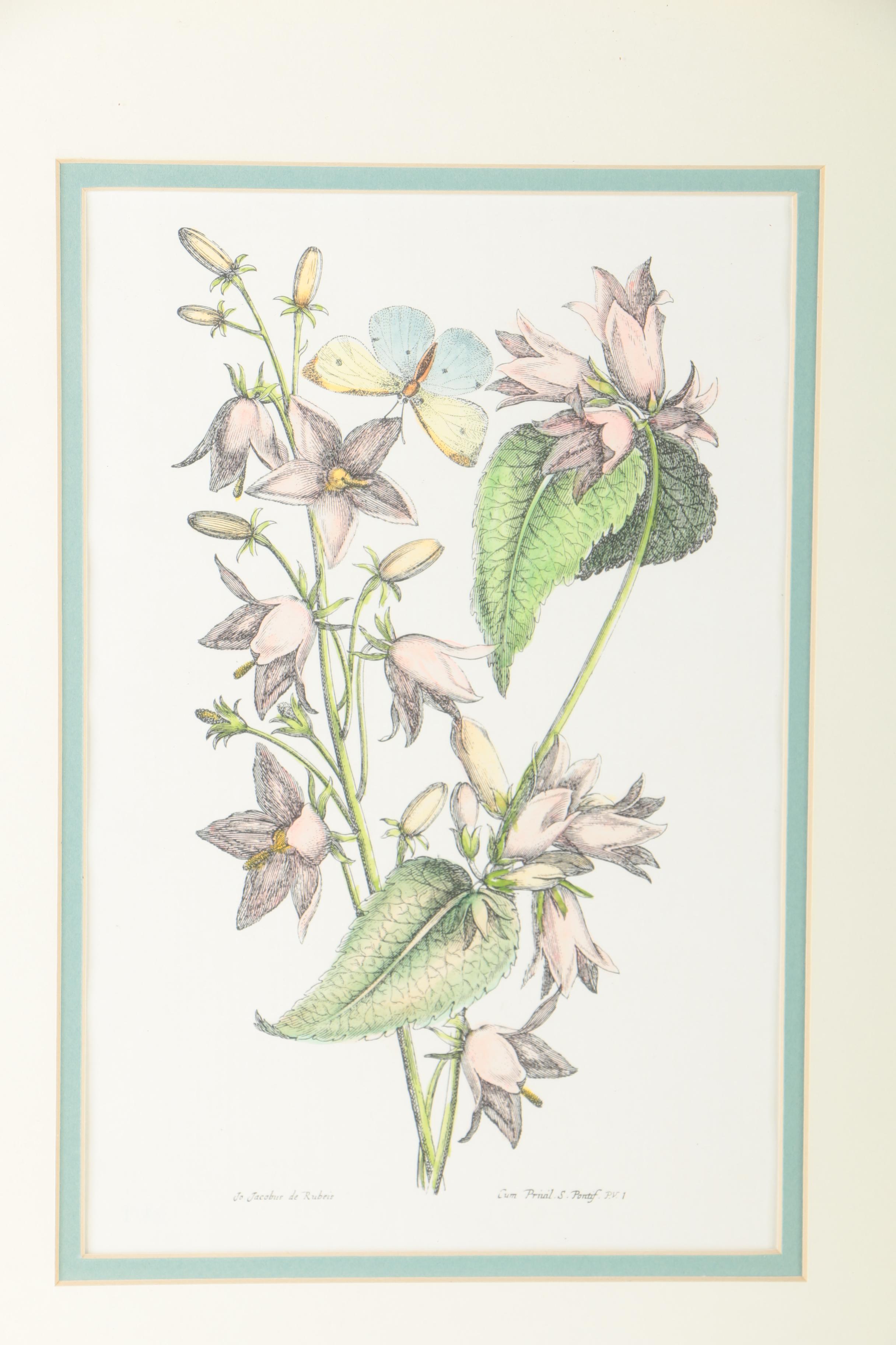 Two Hand-colored Lithographs After Jacobus de Rubeis of Flowers and Butterflies