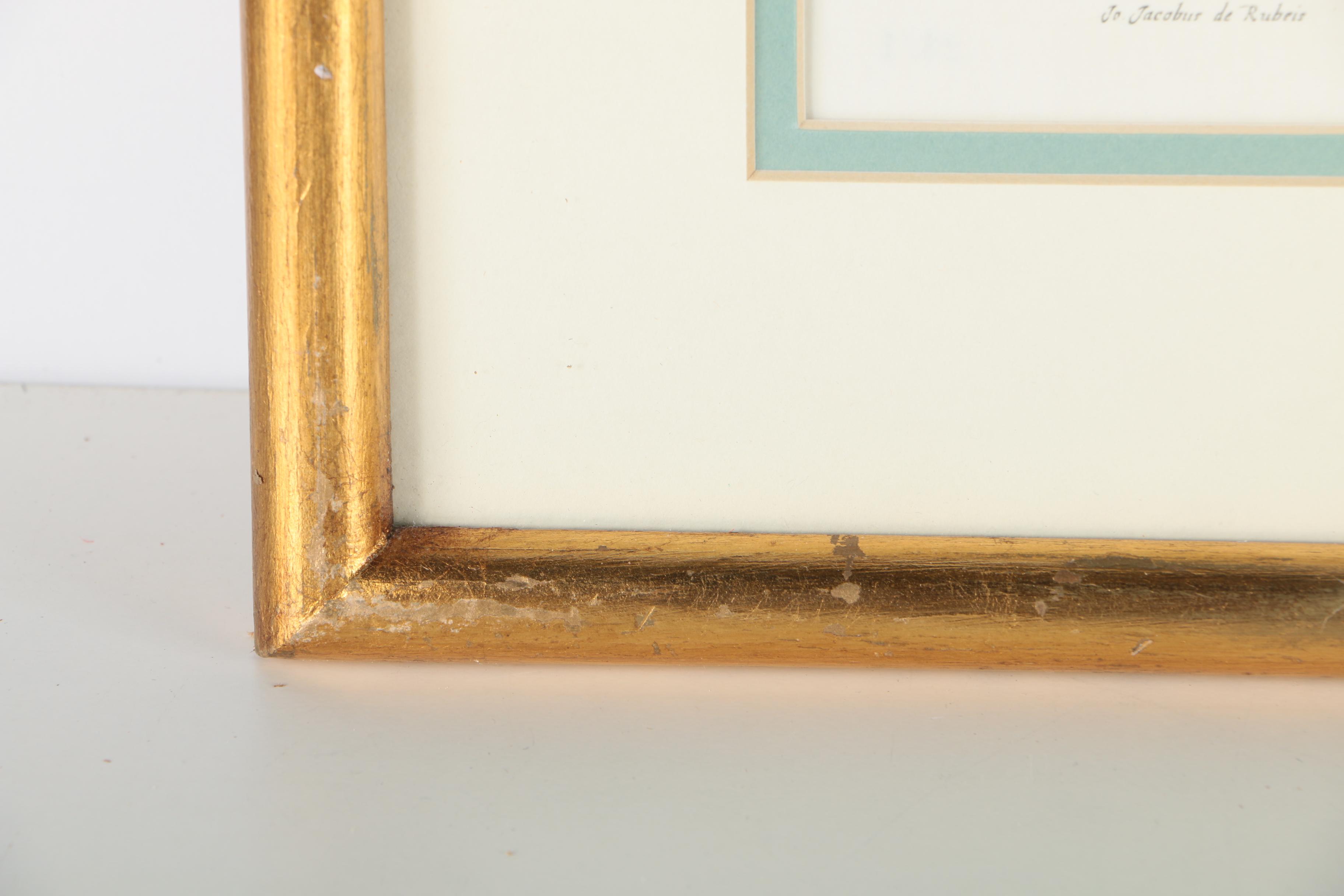 Two Hand-colored Lithographs After Jacobus de Rubeis of Flowers and Butterflies