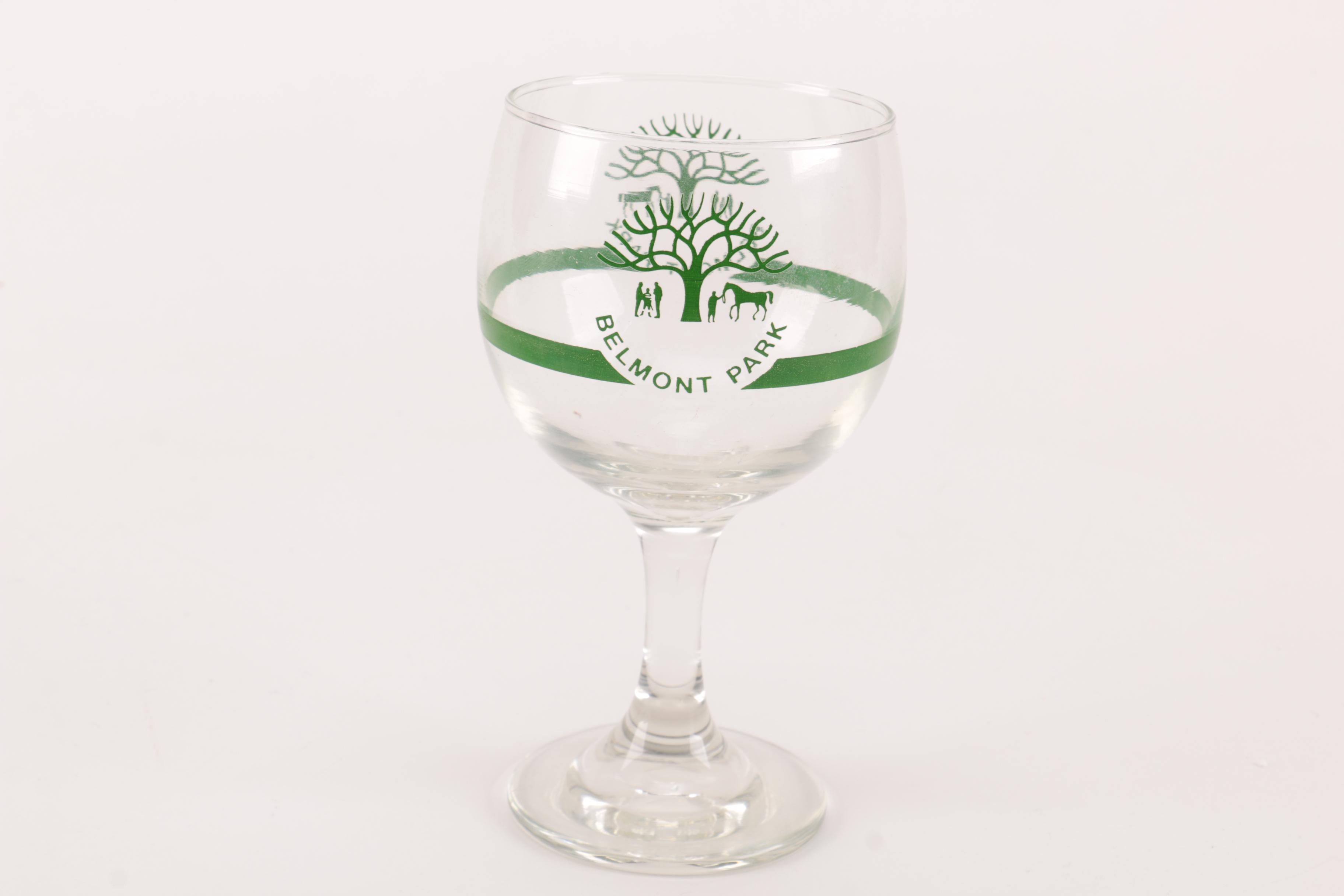 Belmont Stakes Horse Racing Glasses