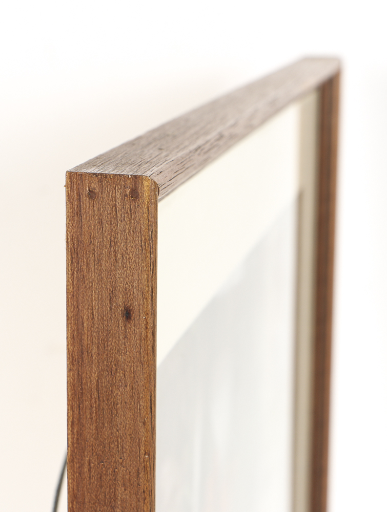 Chromogenic Photograph on Paper of Kaffir Lilies