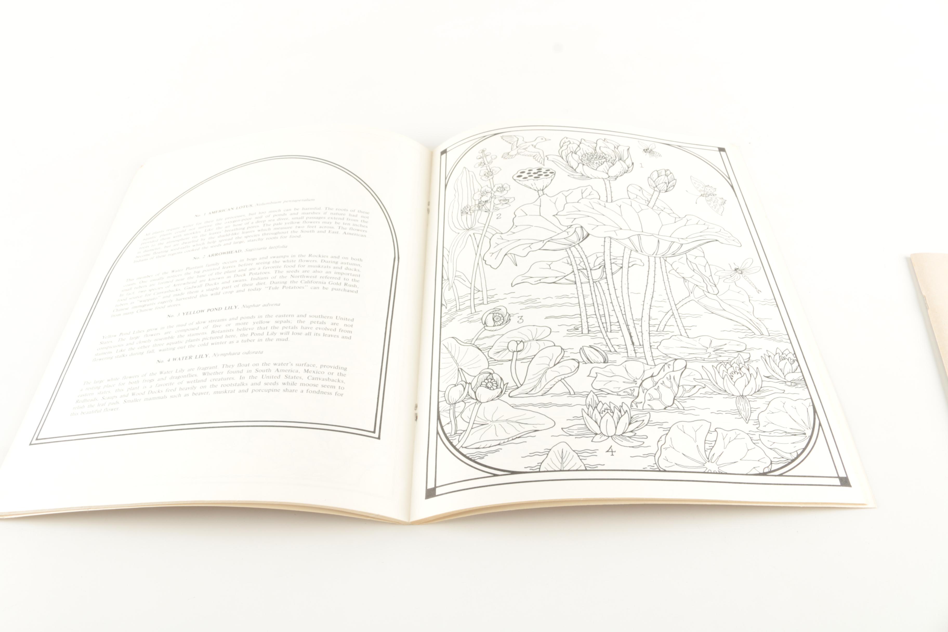 Coloring Books and Paper Dolls Including "Henry VIII & His Wives"