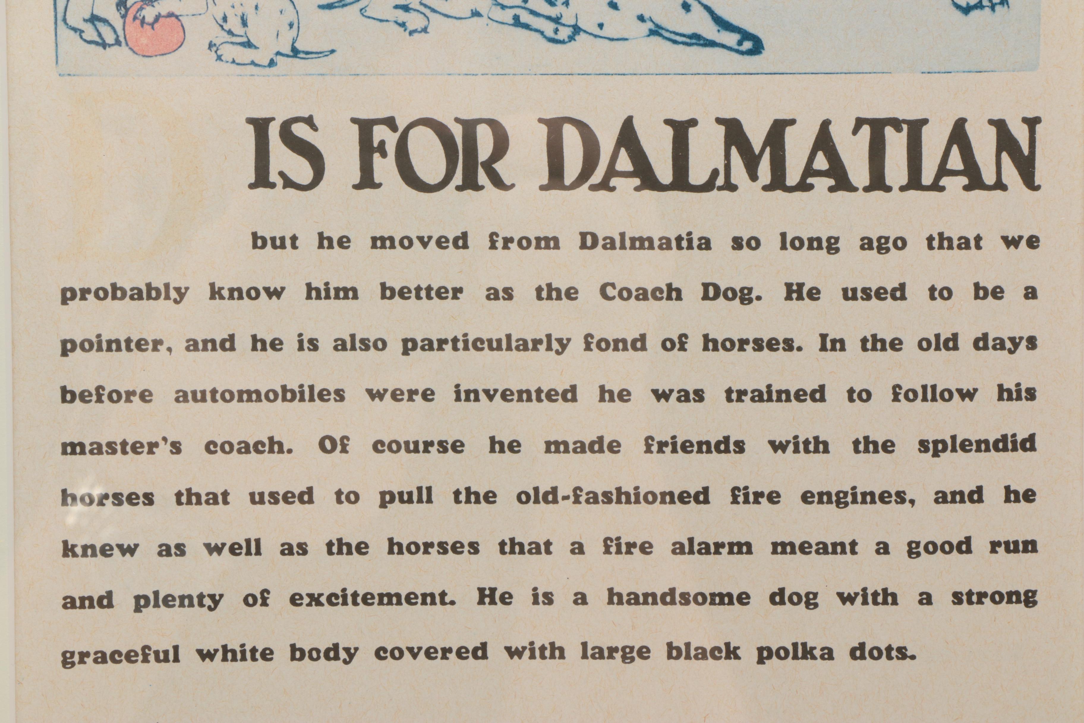 Offset Lithograph on Paper After Alphabet Illustration