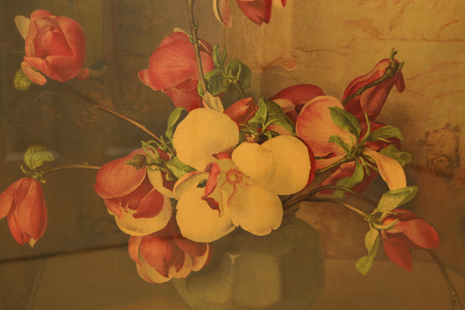 F. Julia Bach "Oriental Magnolias" Framed Print