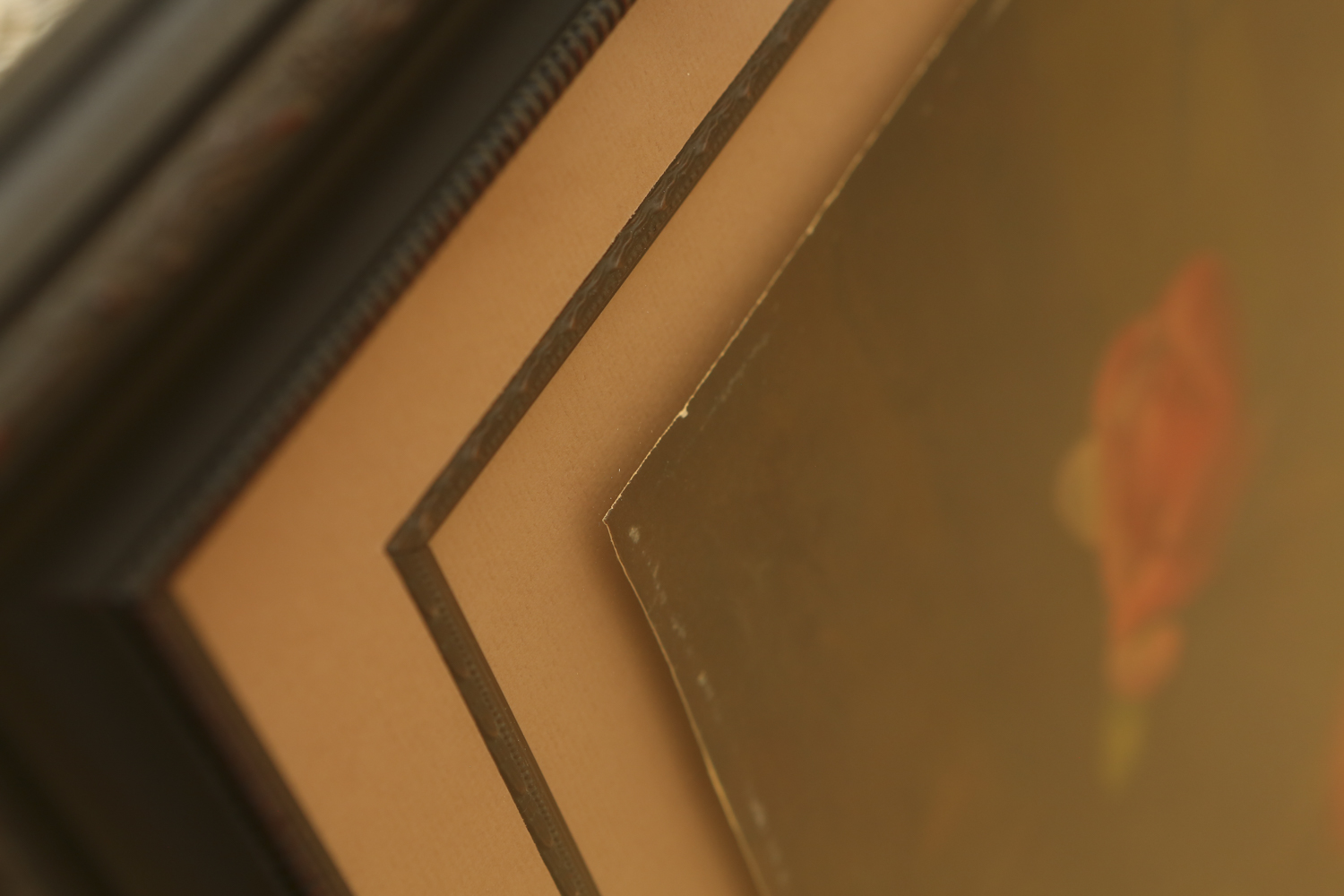 F. Julia Bach "Oriental Magnolias" Framed Print