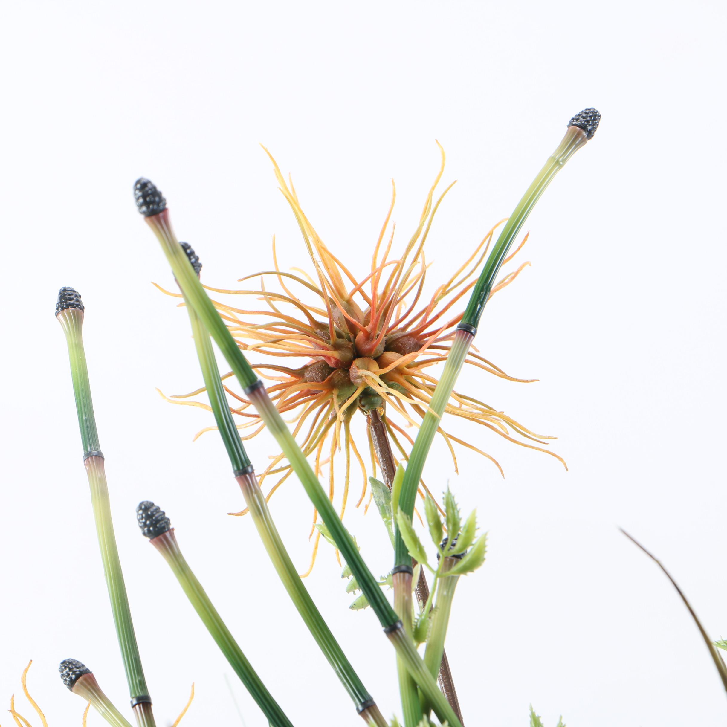 Faux Plants With Red Accents