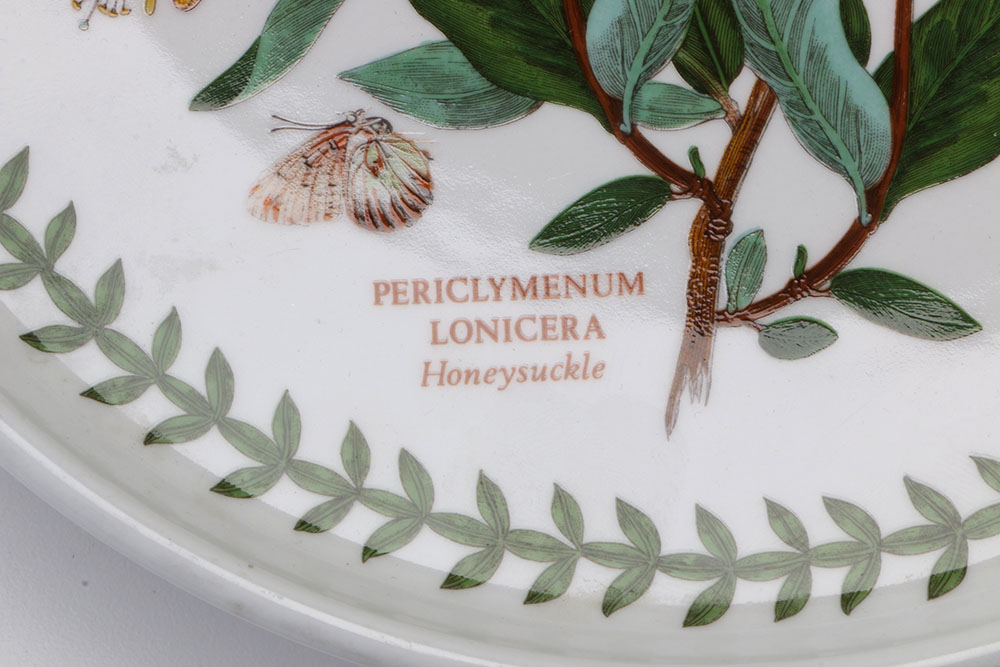Vintage Portmeirion "The Botanic Garden"  Tableware