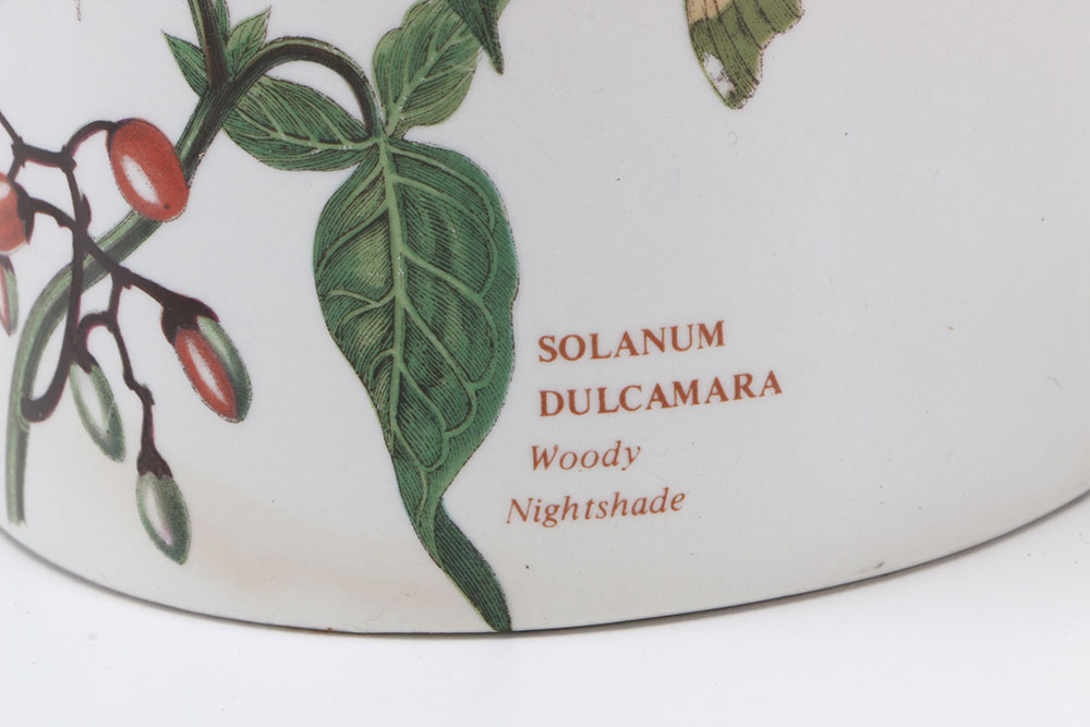 Vintage Portmeirion "The Botanic Garden"  Tableware