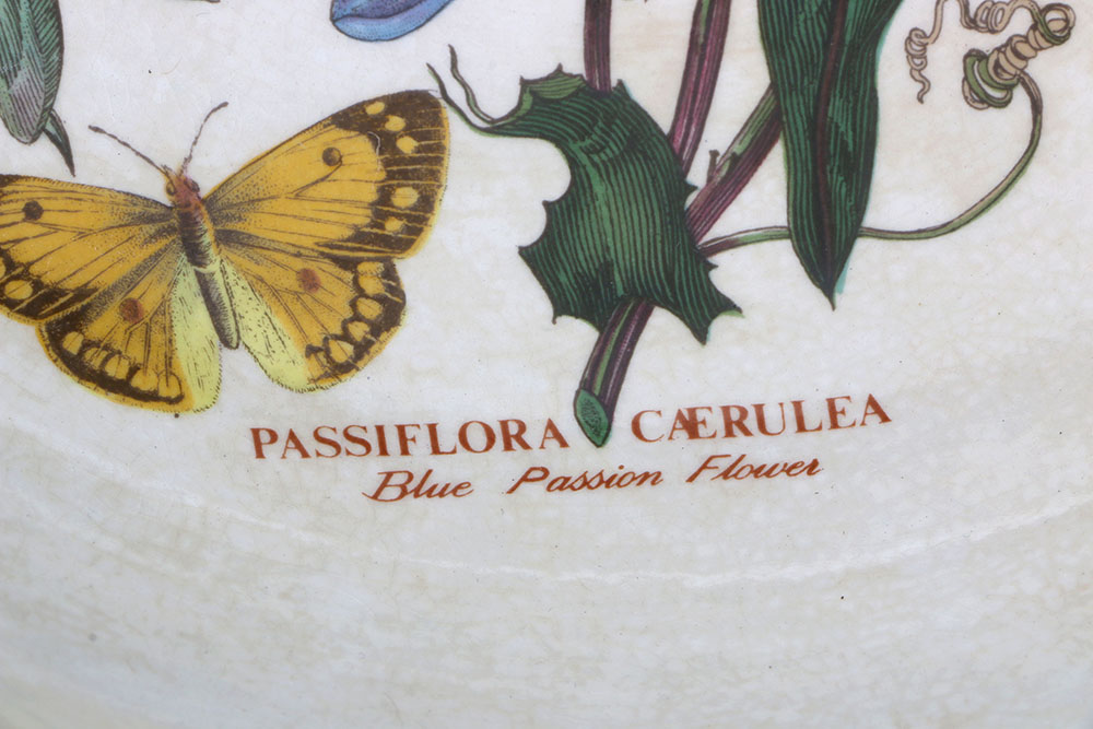 Vintage Portmeirion "The Botanic Garden"  Tableware