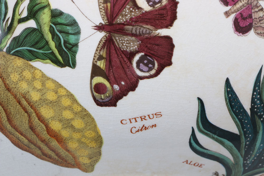 Vintage Portmeirion "The Botanic Garden"  Tableware