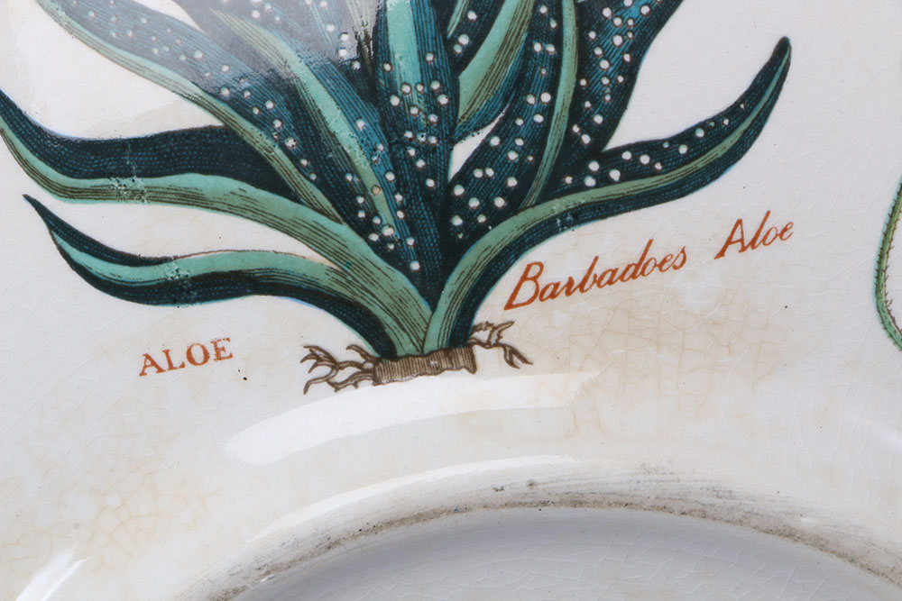 Vintage Portmeirion "The Botanic Garden"  Tableware