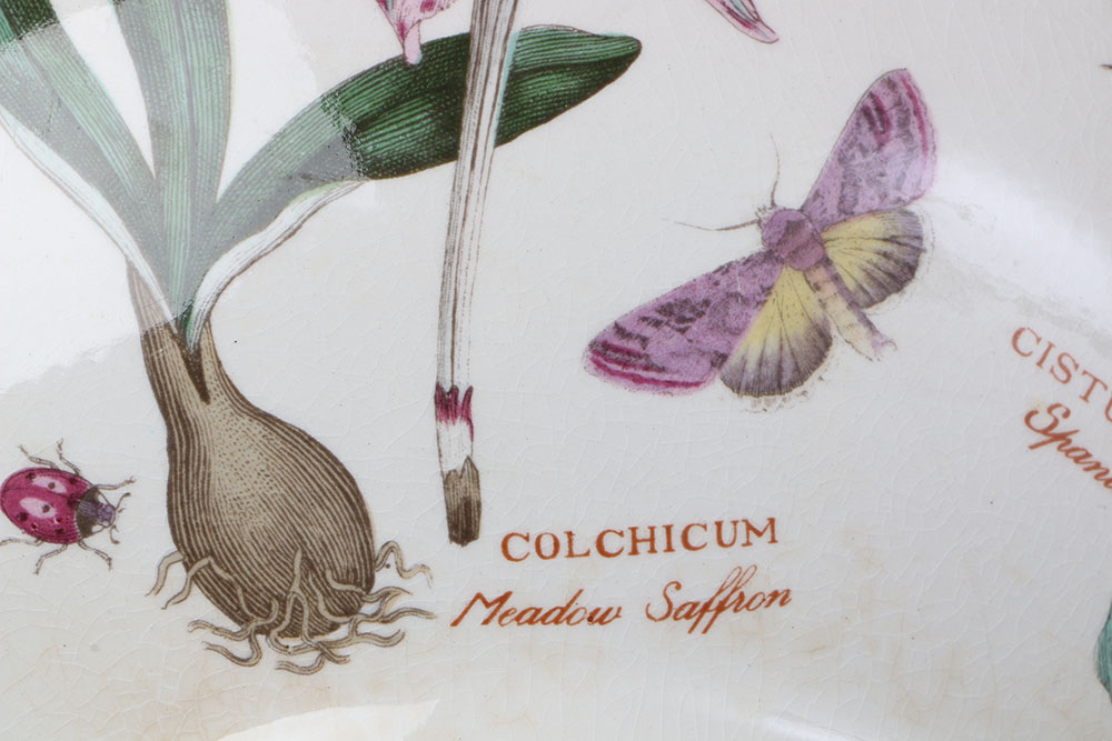 Vintage Portmeirion "The Botanic Garden"  Tableware